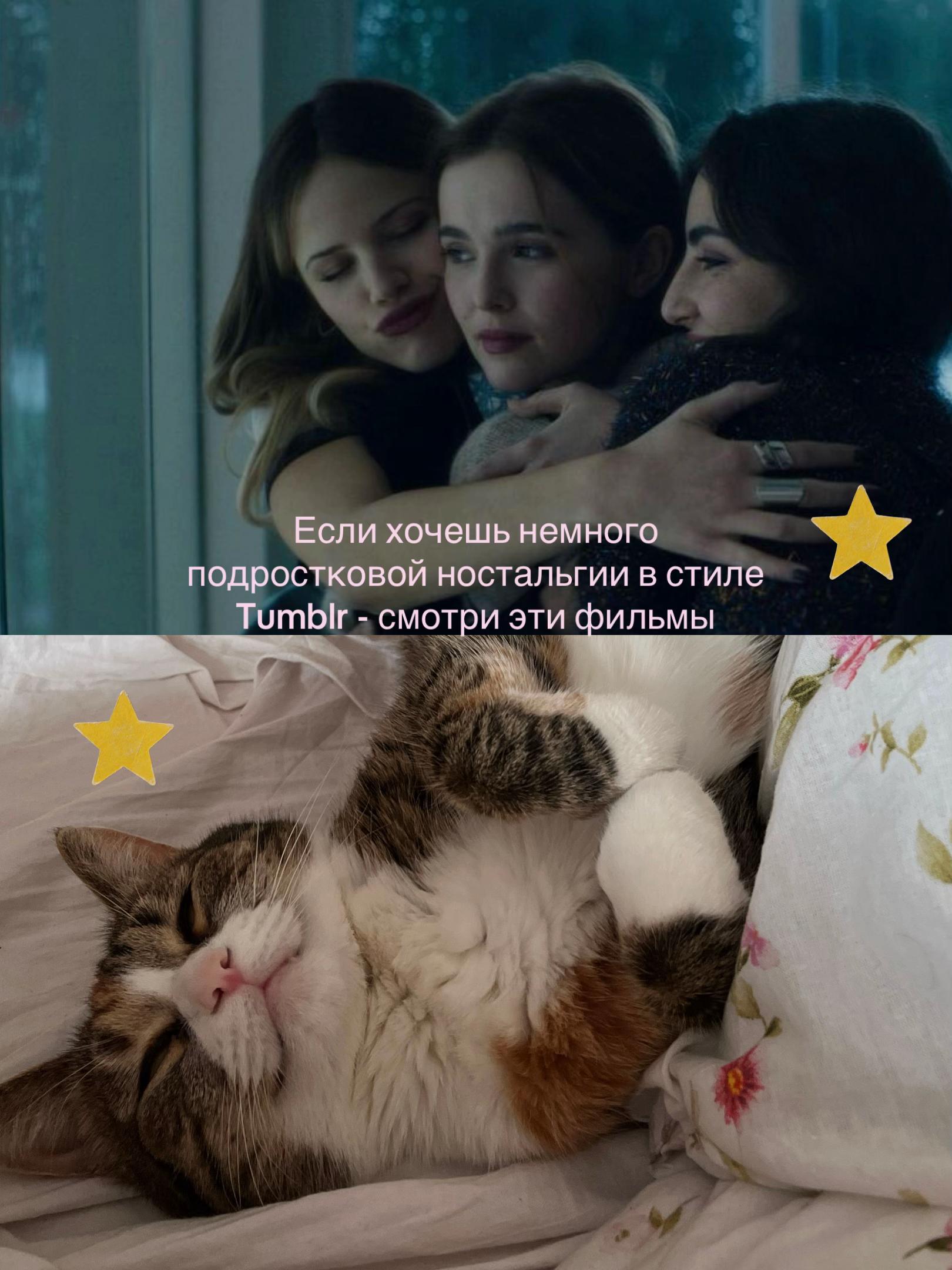 @༘⋆ the pixie diaries ྀི