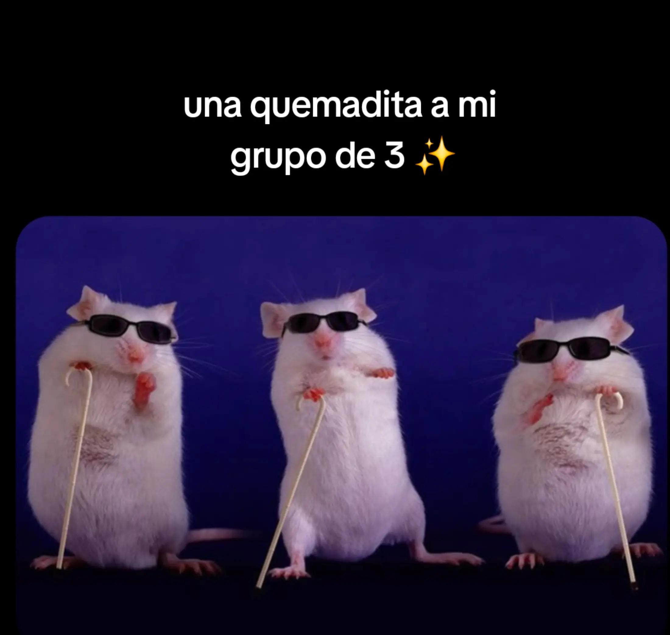 @ℕ𝔸ℕ𝕀
