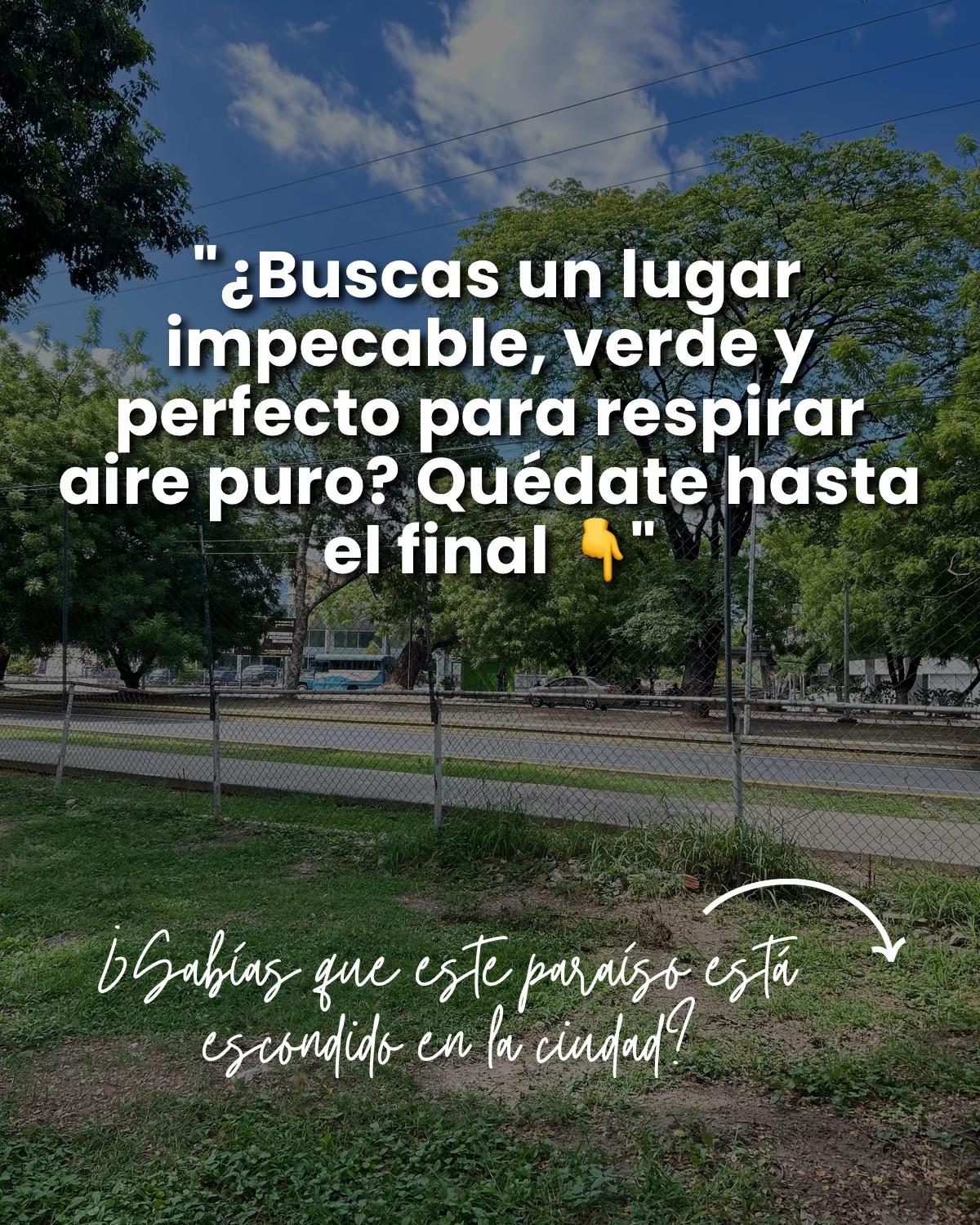 @Parque de Feria San Jacinto