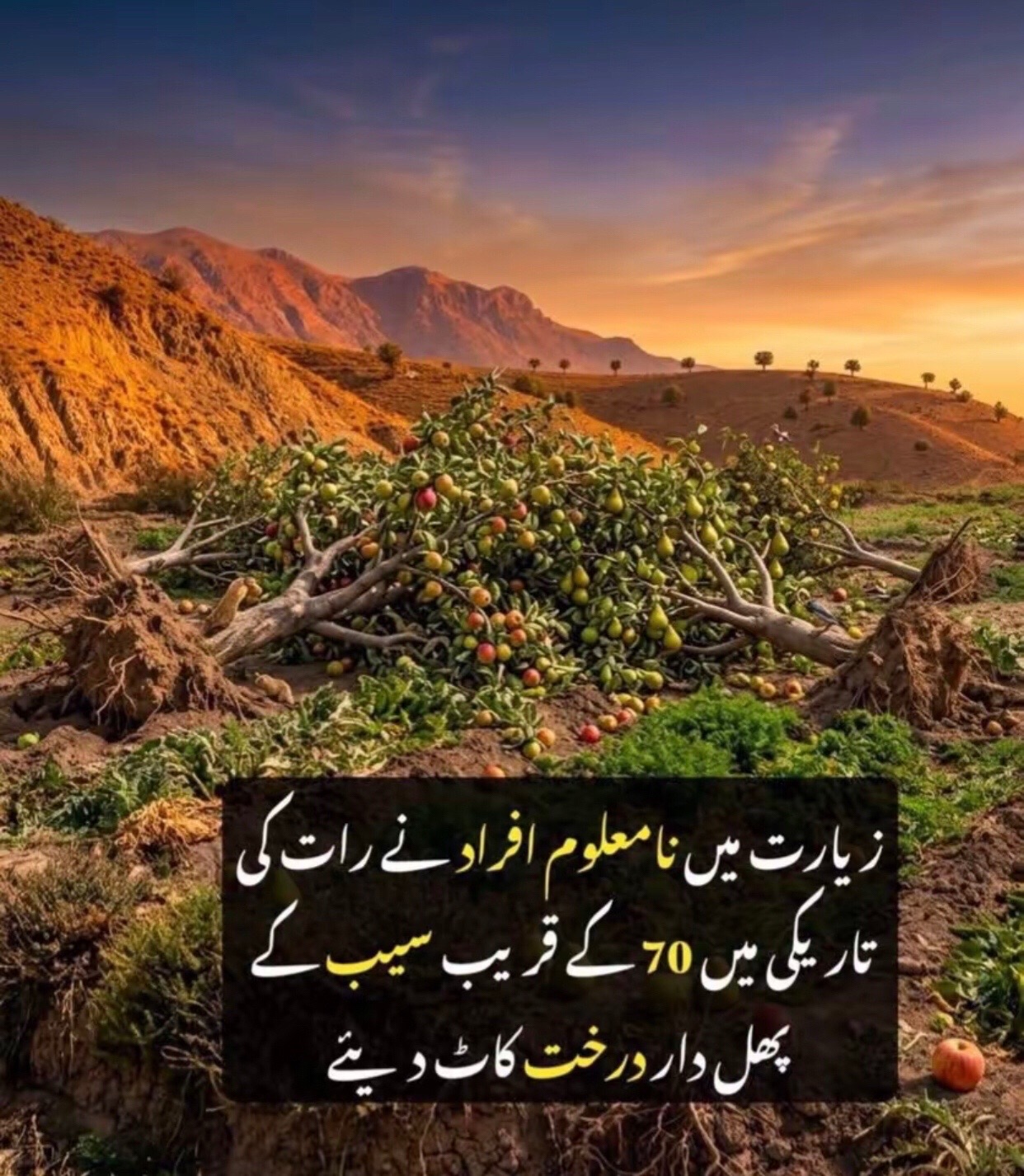 @I love Quetta ❤️