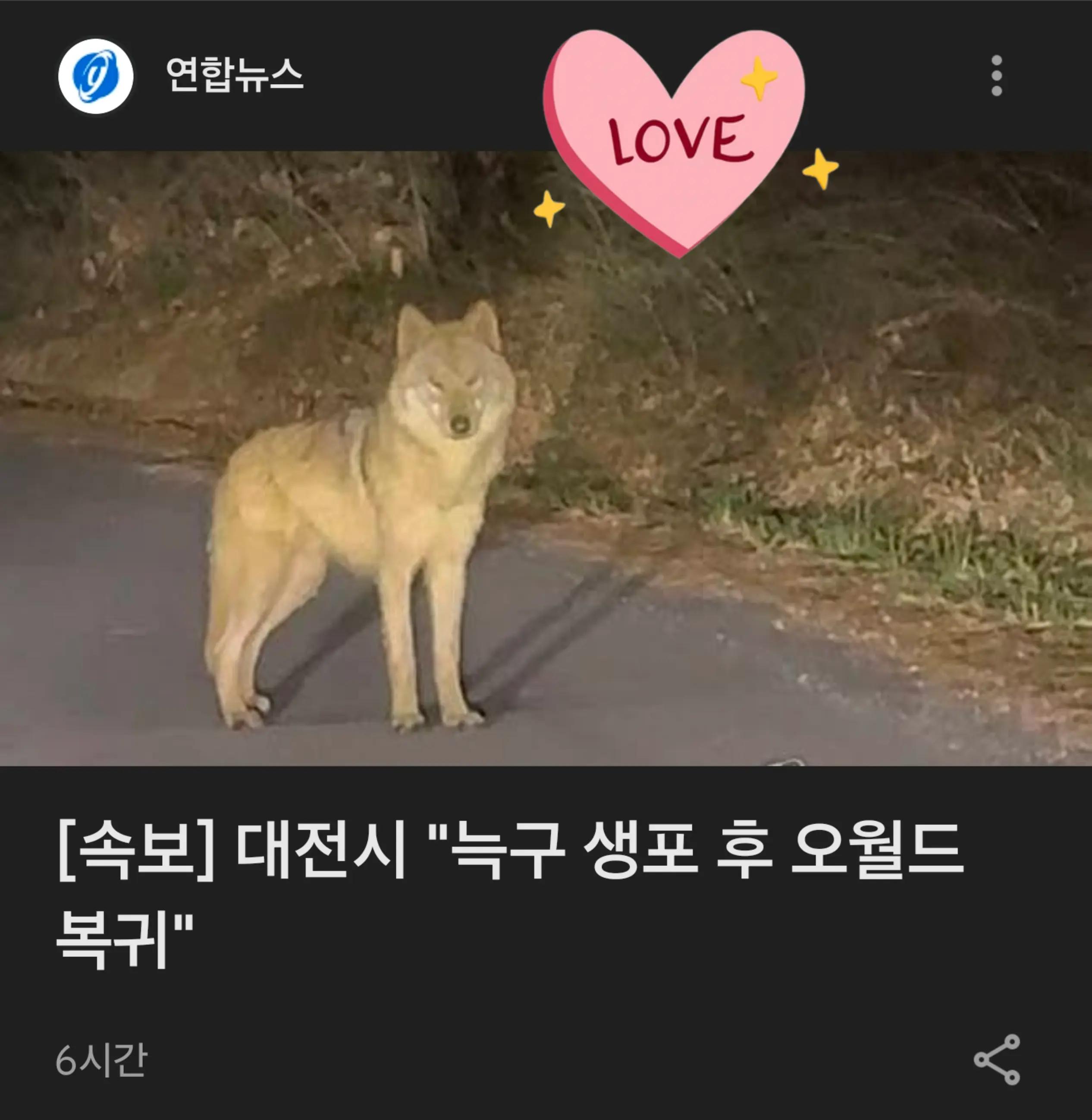 @캐스팅케이Casting K
