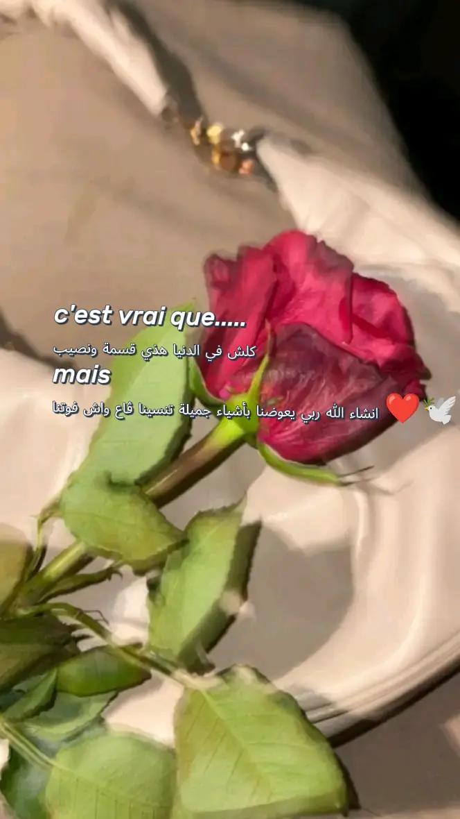 @maram M&eacute;lissa