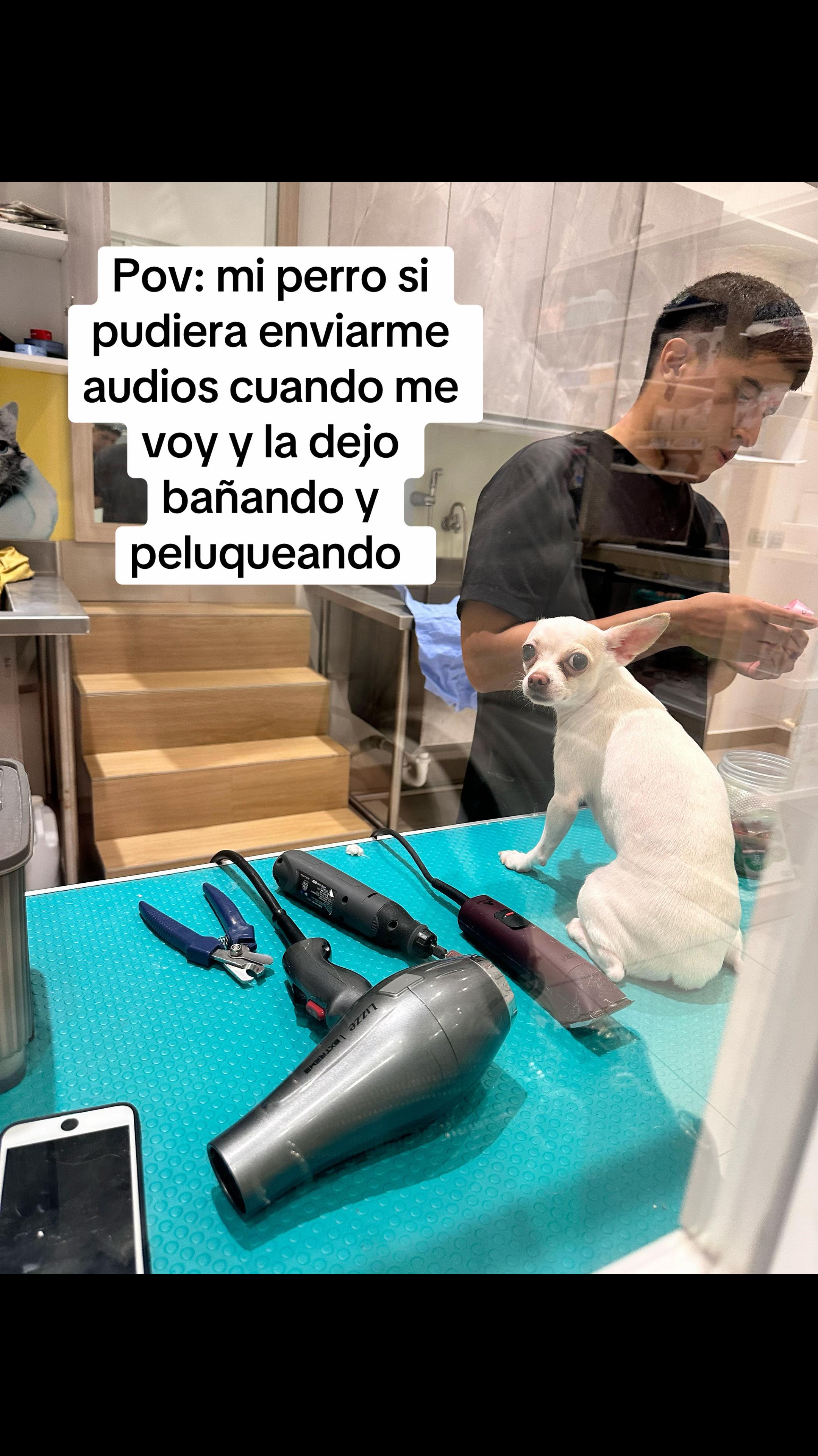 @Maite Andrade