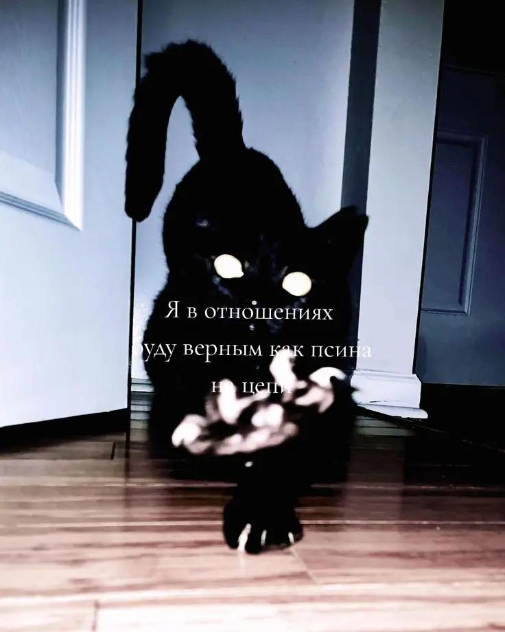 @~𝕲𝖗𝖚𝖘𝖙𝖓𝖞𝖞 𝖐𝖔𝖙𝖎𝖐~