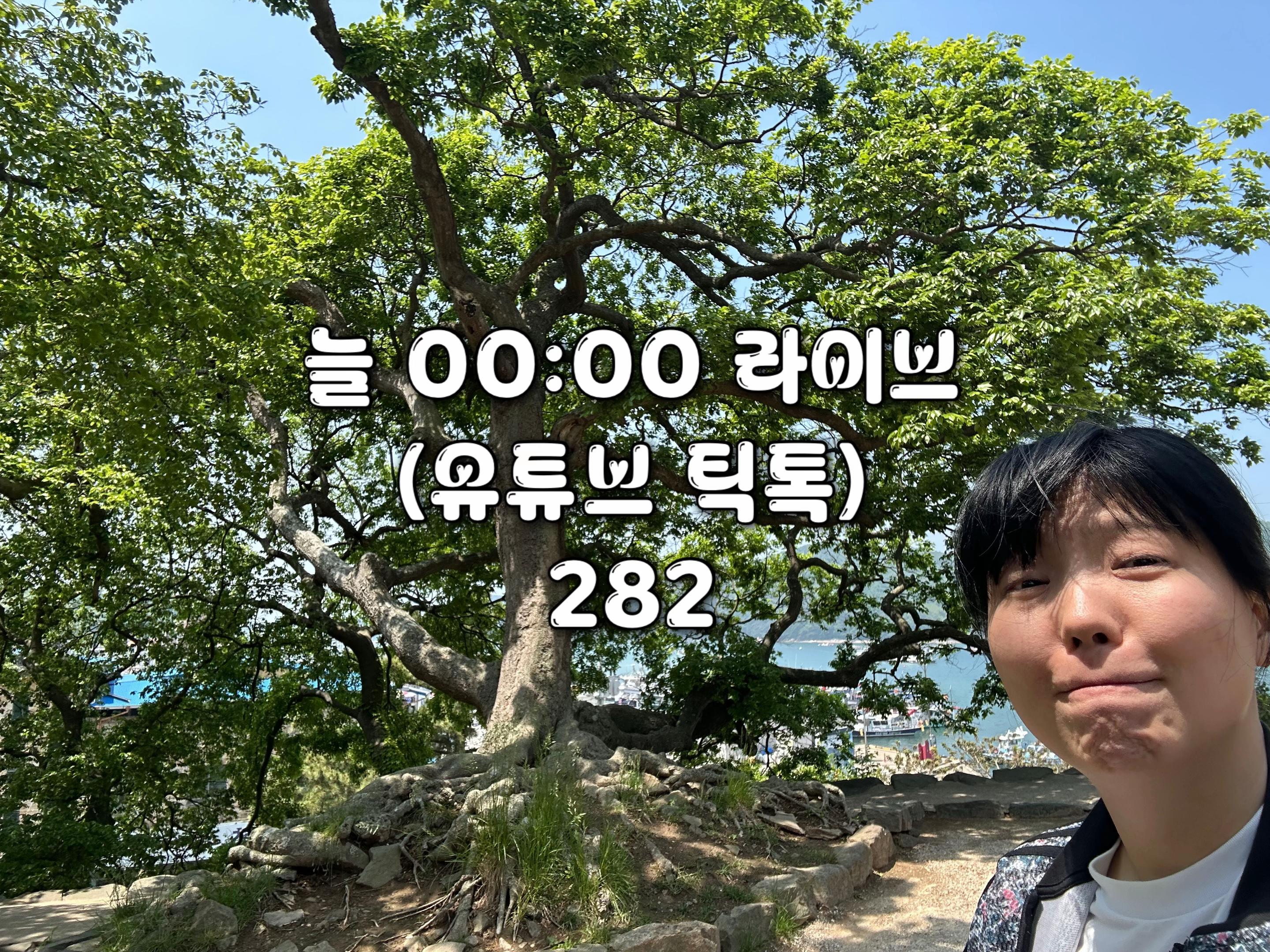 @신혜련 SHR