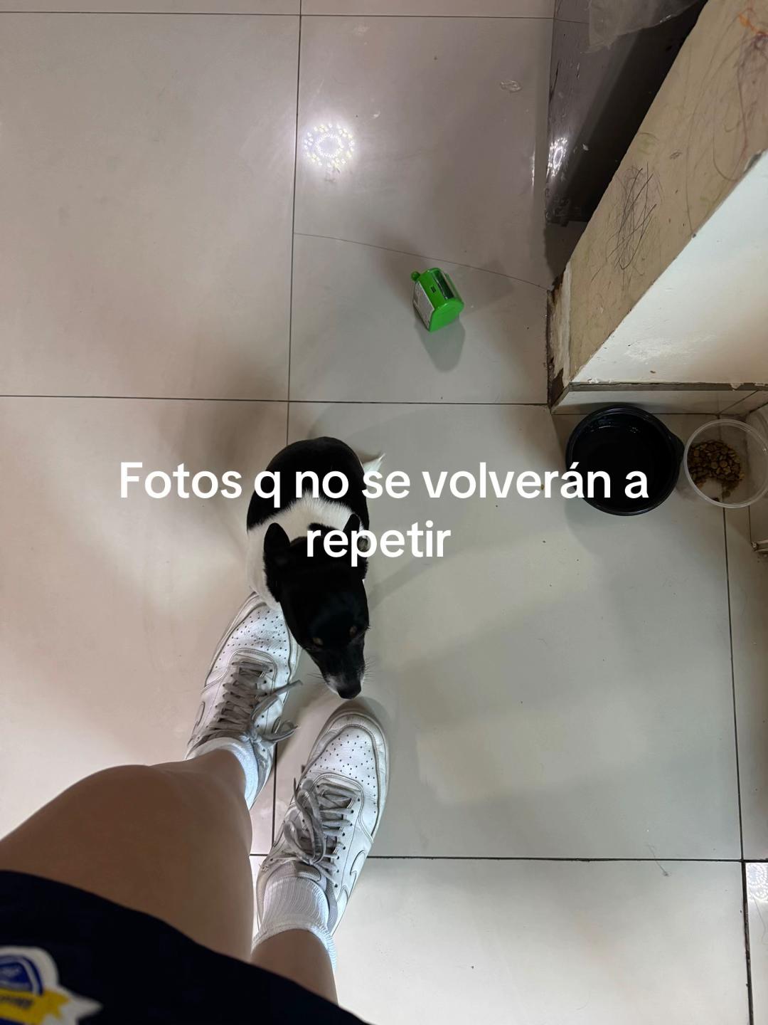 @miagomez52