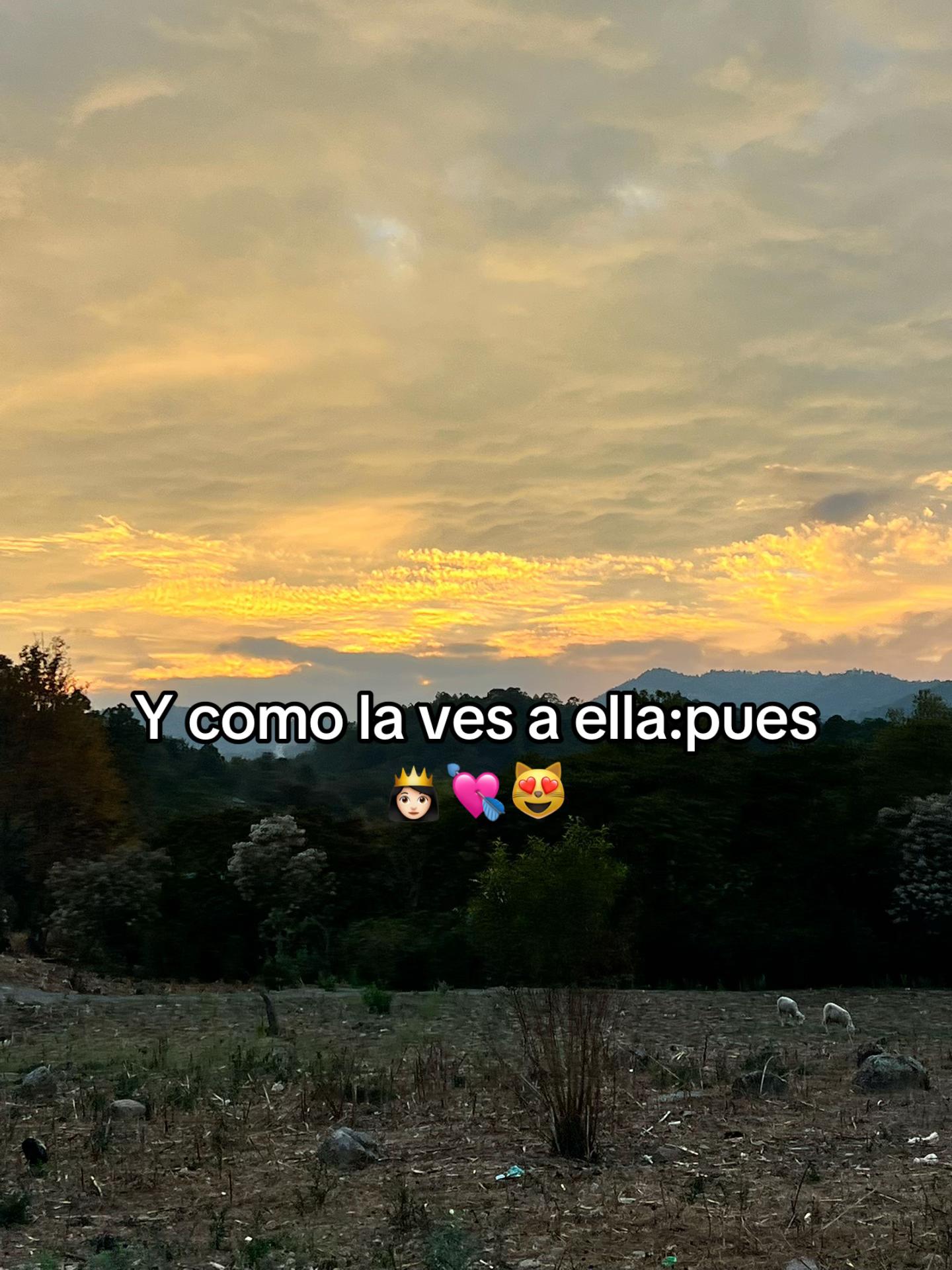 @Leo Reyes