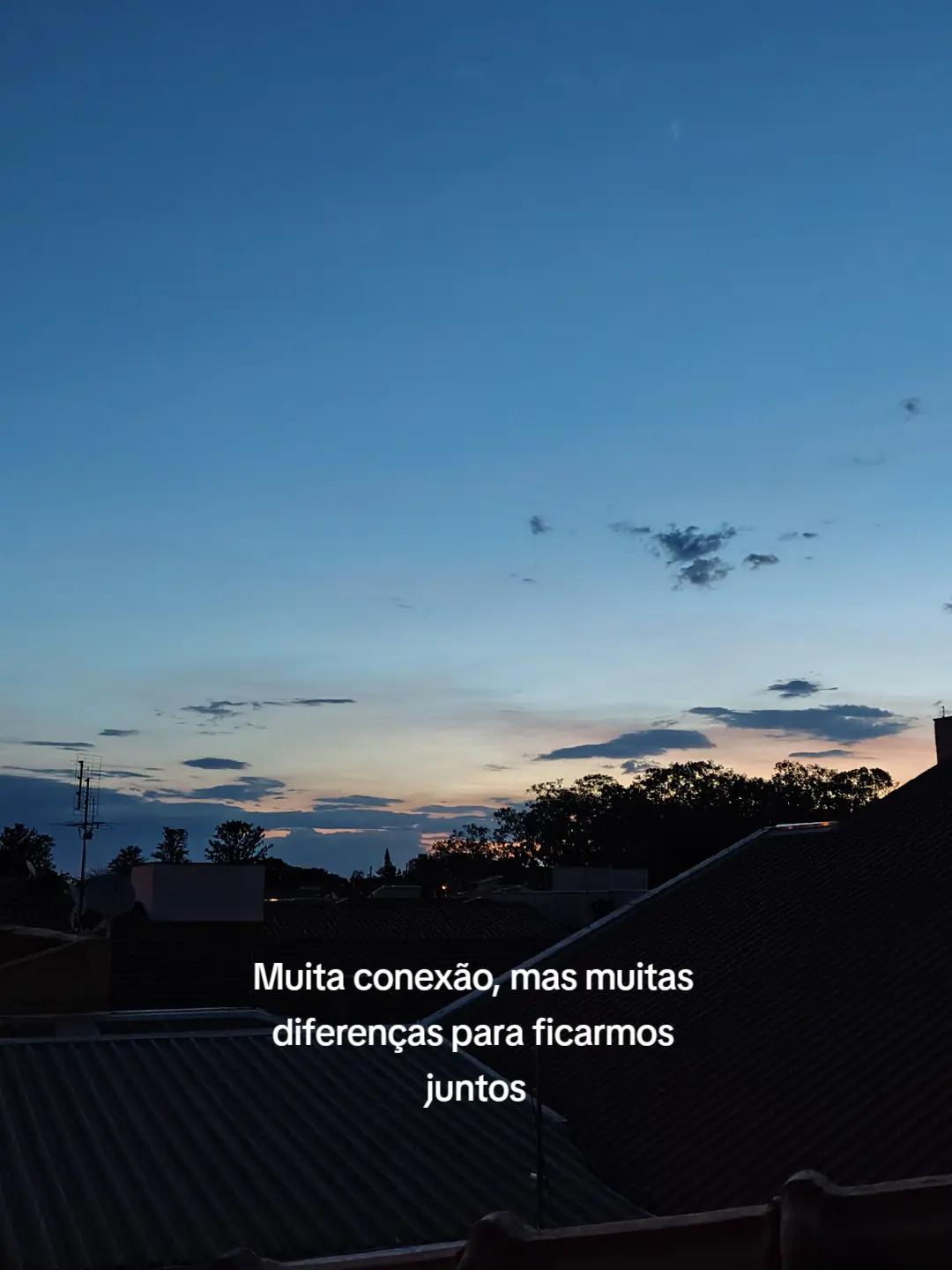 @Bruna Avila Scaglia