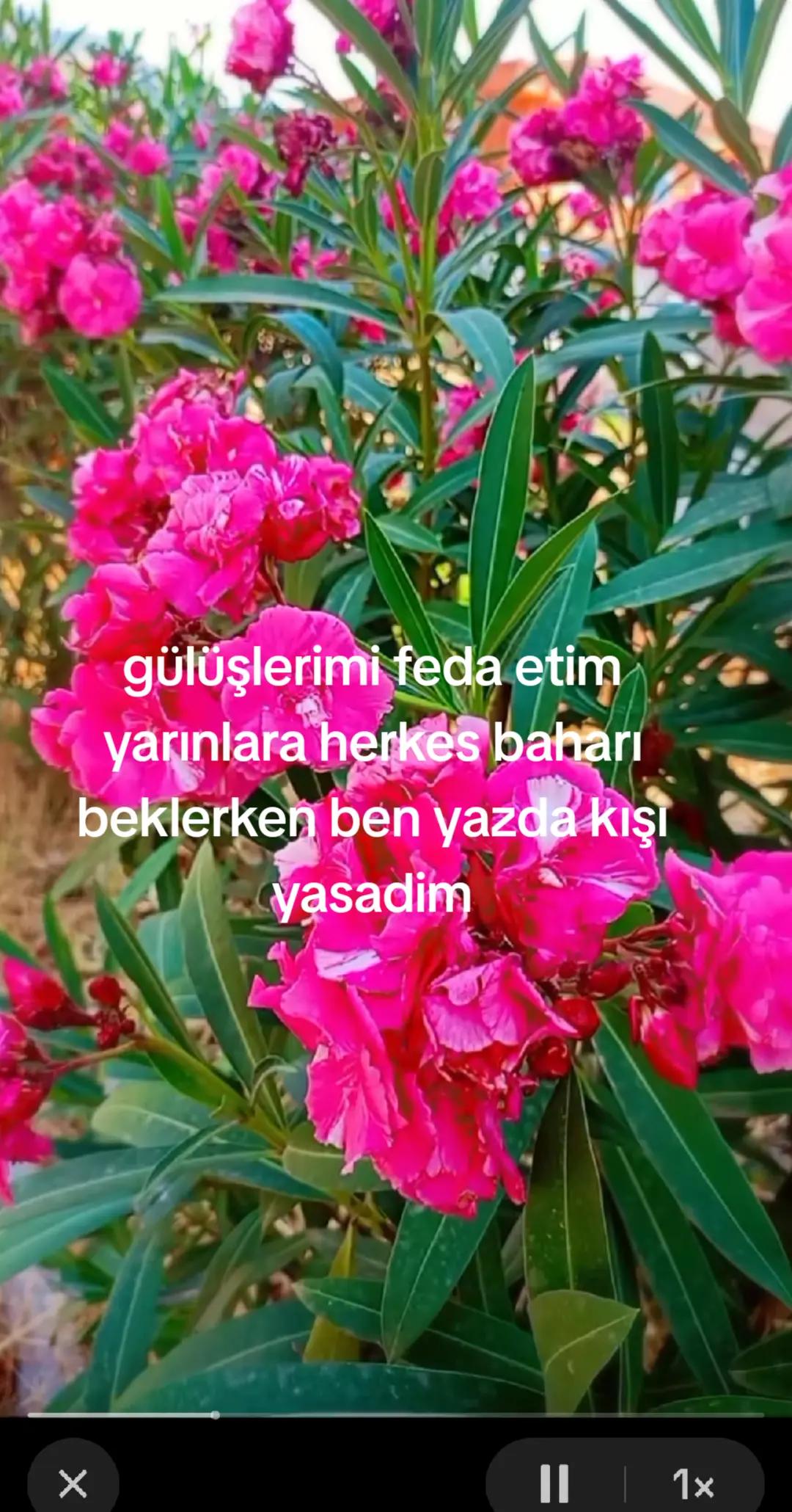 @Karako&ccedil;