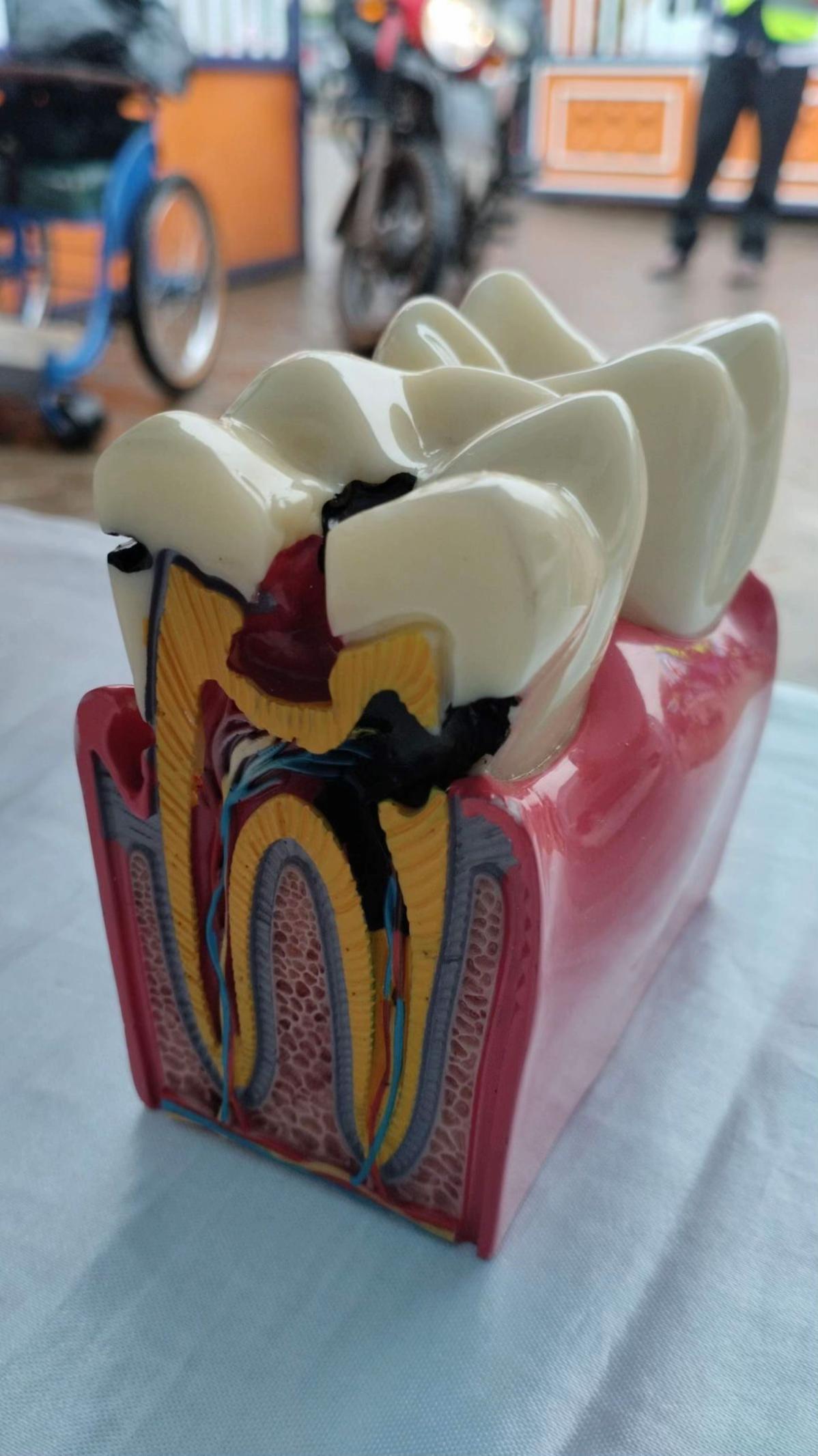 @Rachanny Dotel🦷
