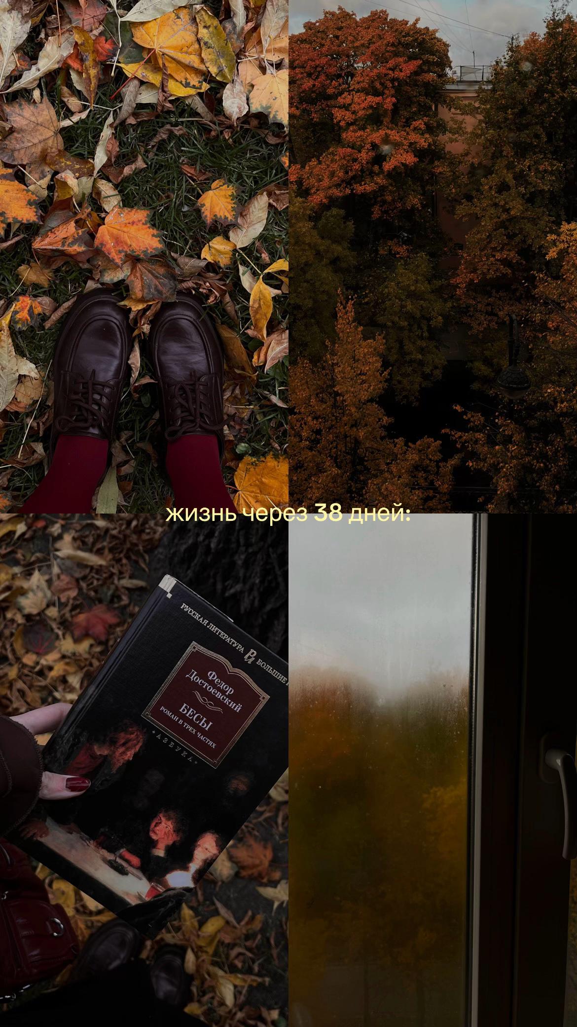 @𝑎𝑛𝑎 ᥫ᭡