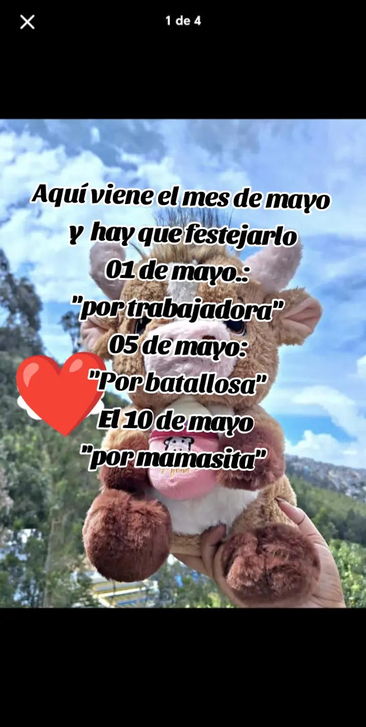 @Eryka Almeida