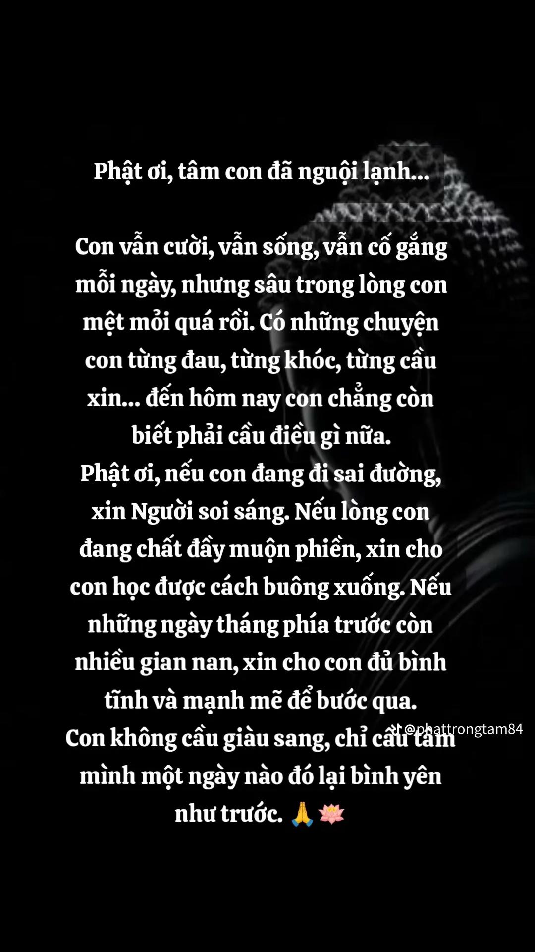 @Thu Anh