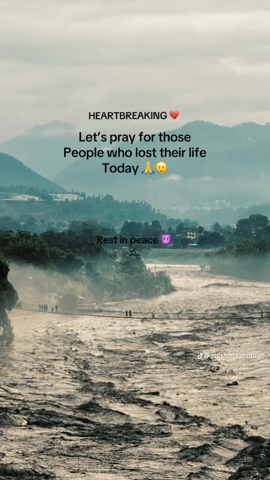 @N.L🕊️