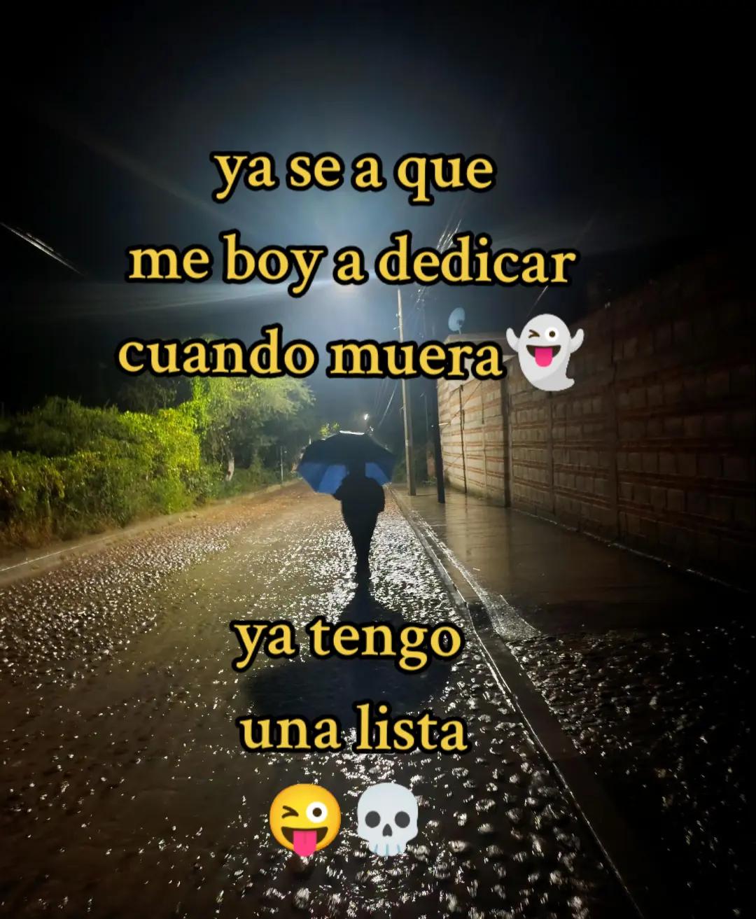 @maryvillasana433