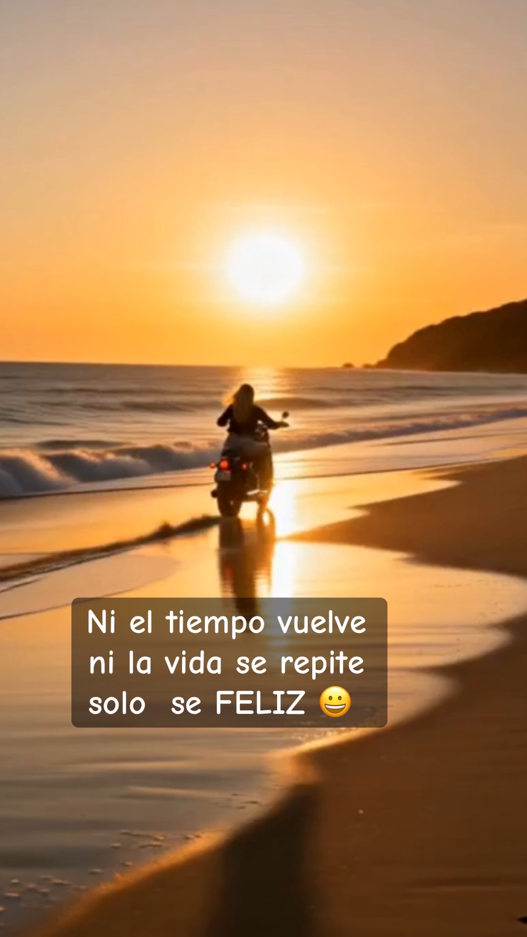 @marion Alvarado