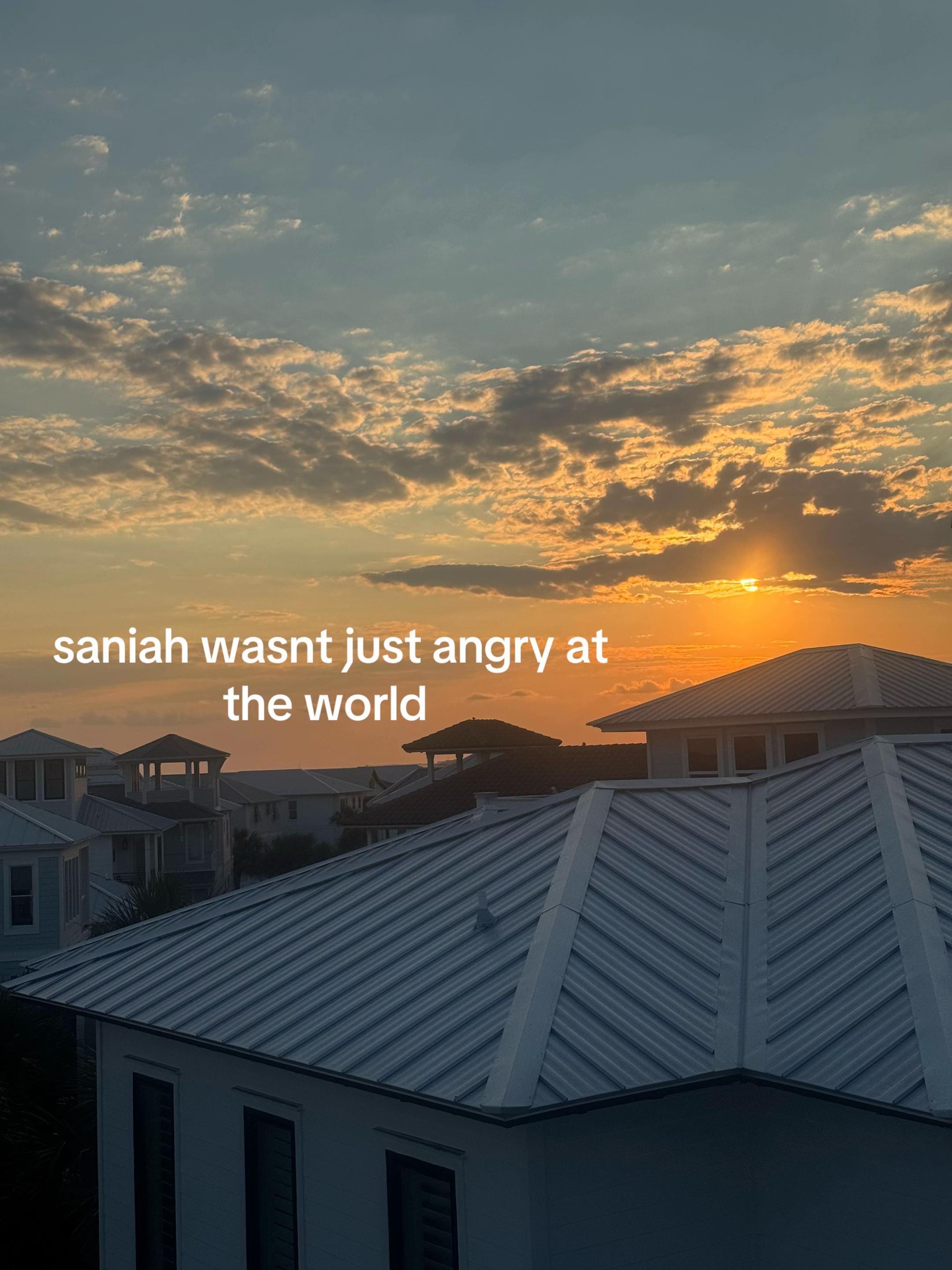 @nottheesannynichole