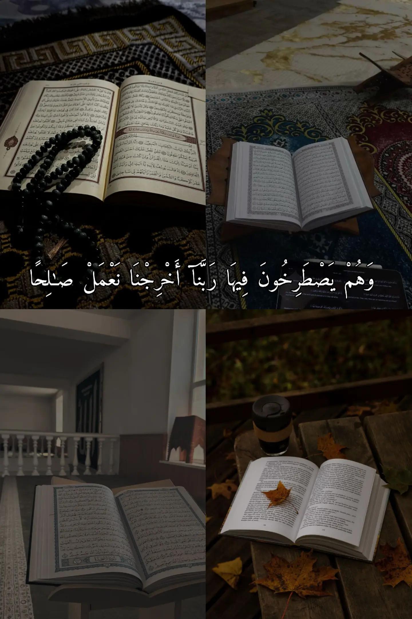 @𝑄 𝑈 𝑅 𝐴 𝑁 🖤
