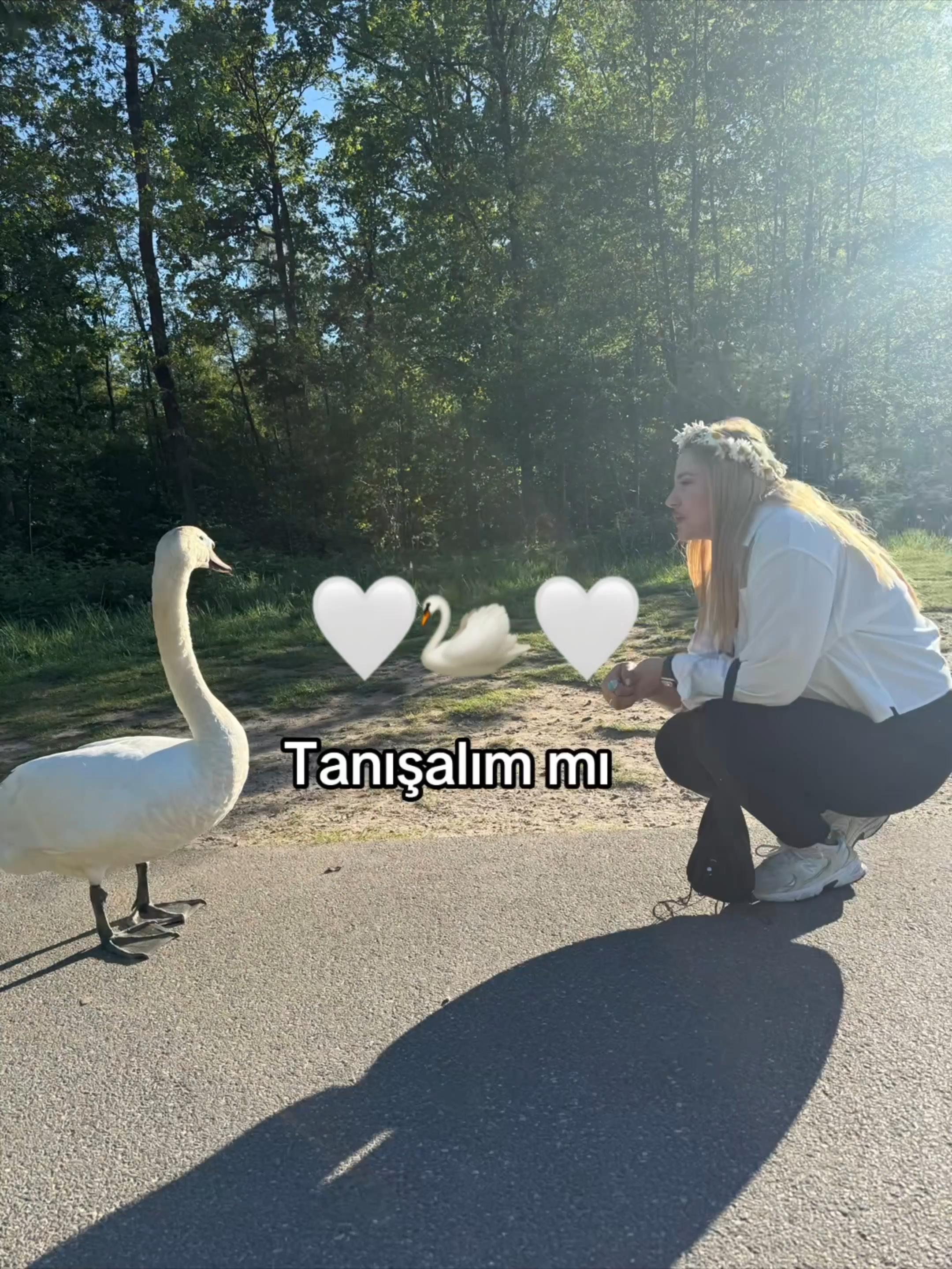 @🦁@sedasaritaş 🪽