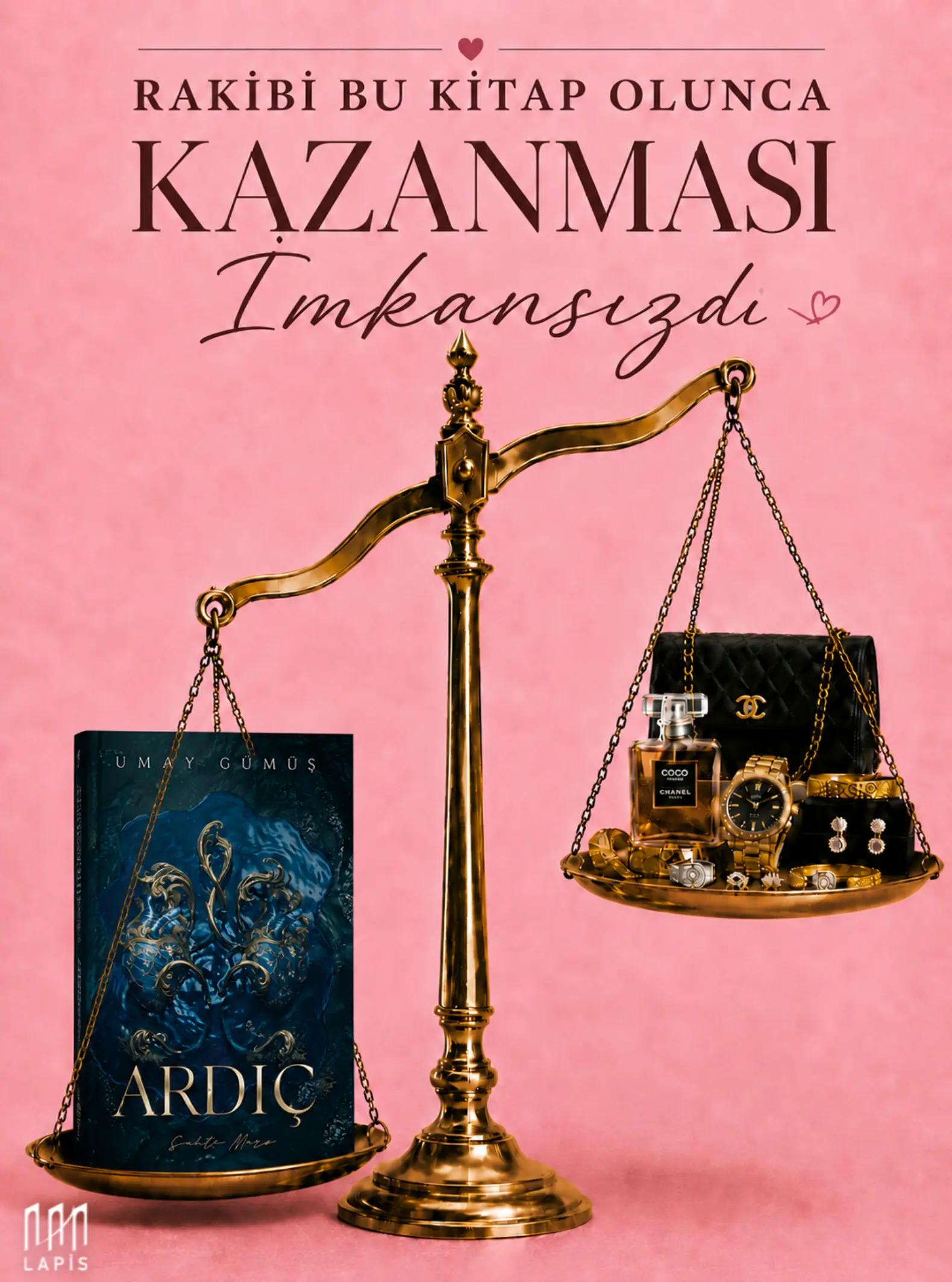@LAPİS YAYINLARI
