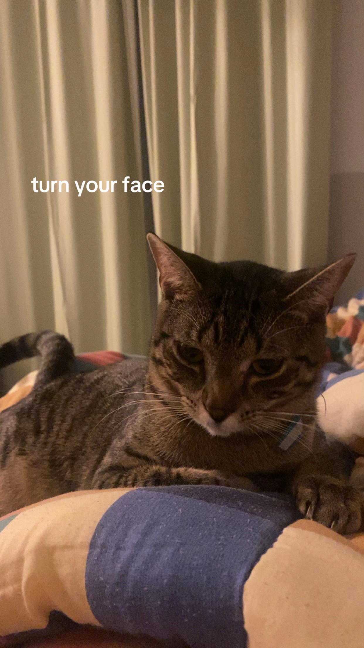 @Alex