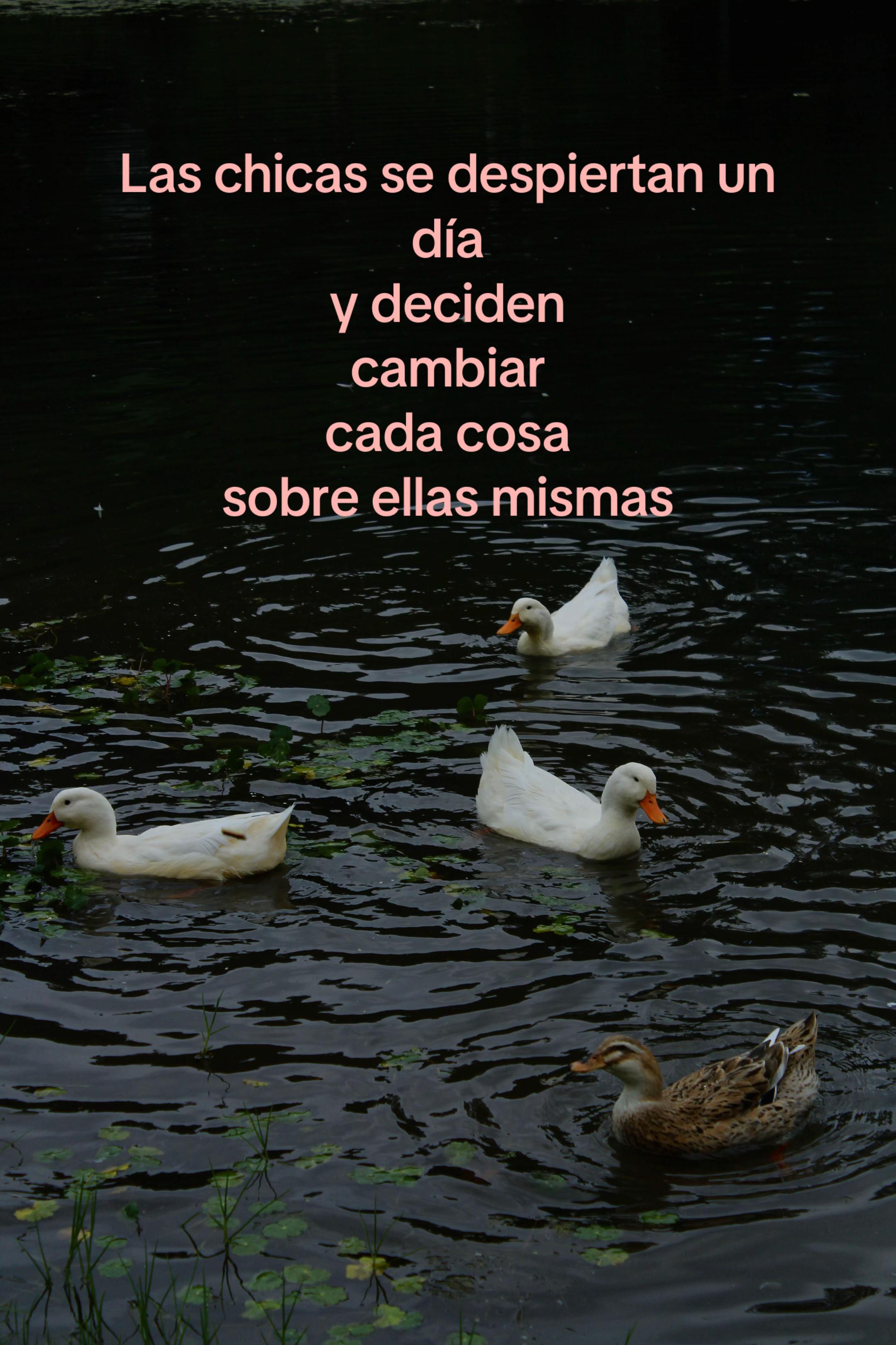 @Diana Valeria