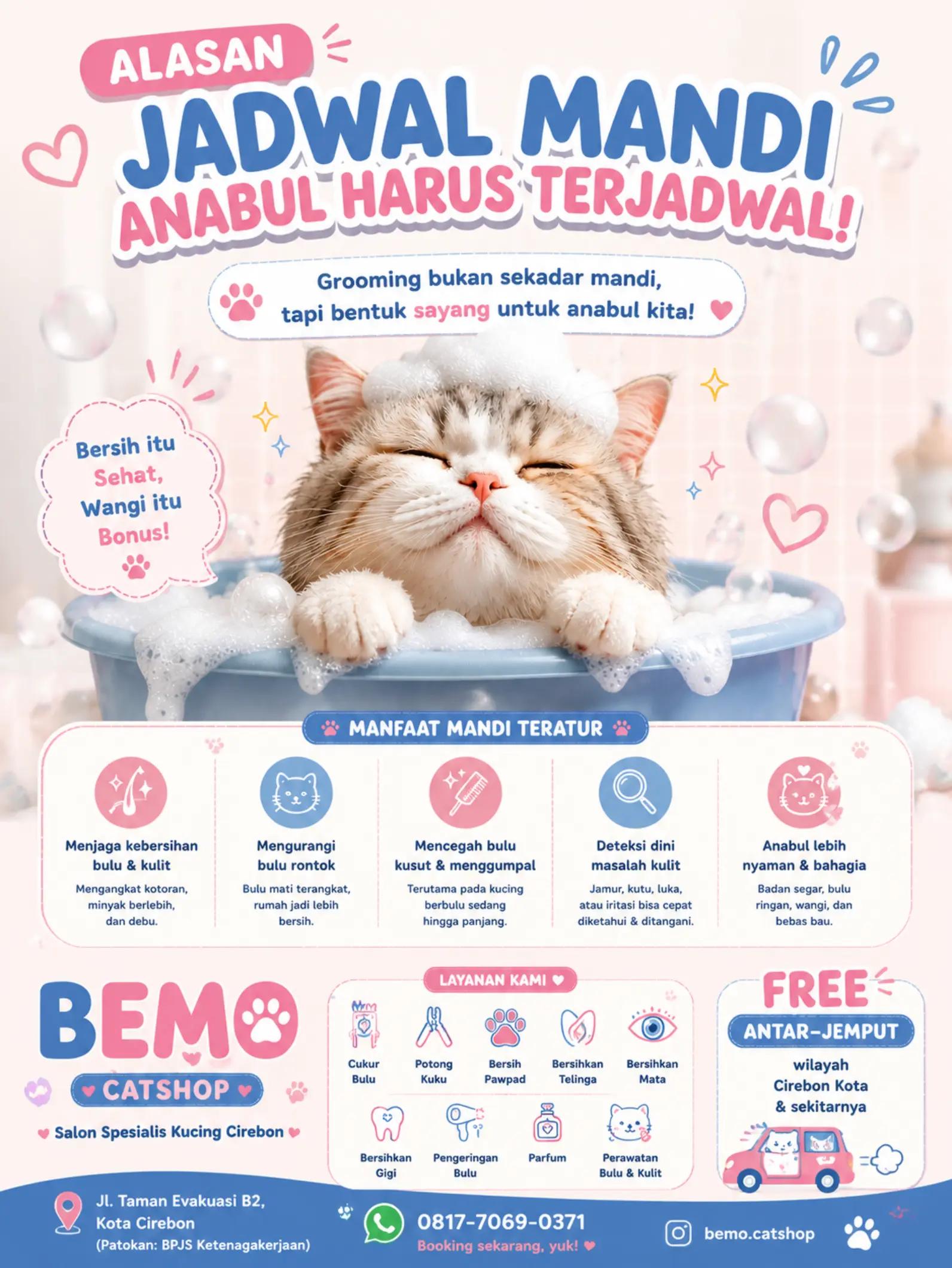 @Bemo Catshop