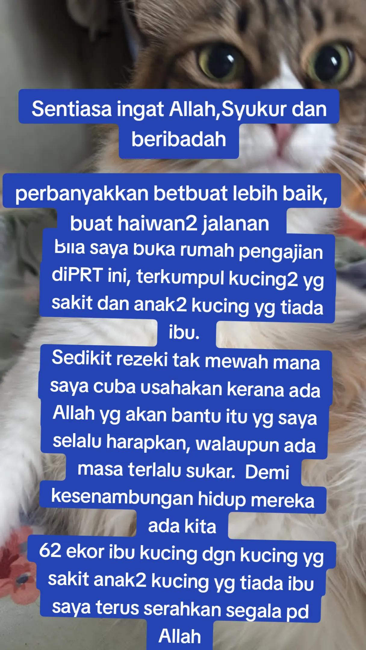 @Shane Anani