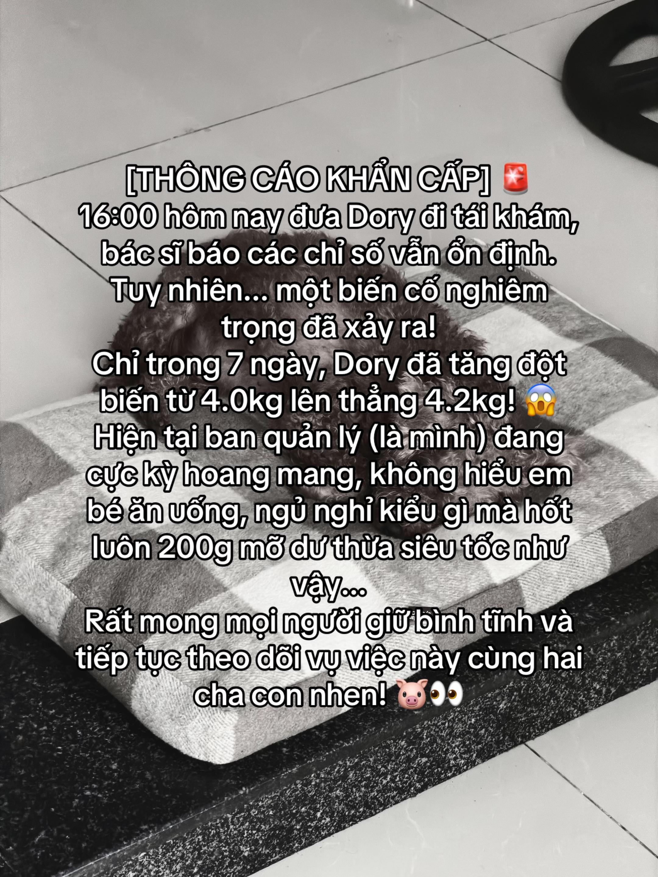 @Cái phòng nhỏ xíu