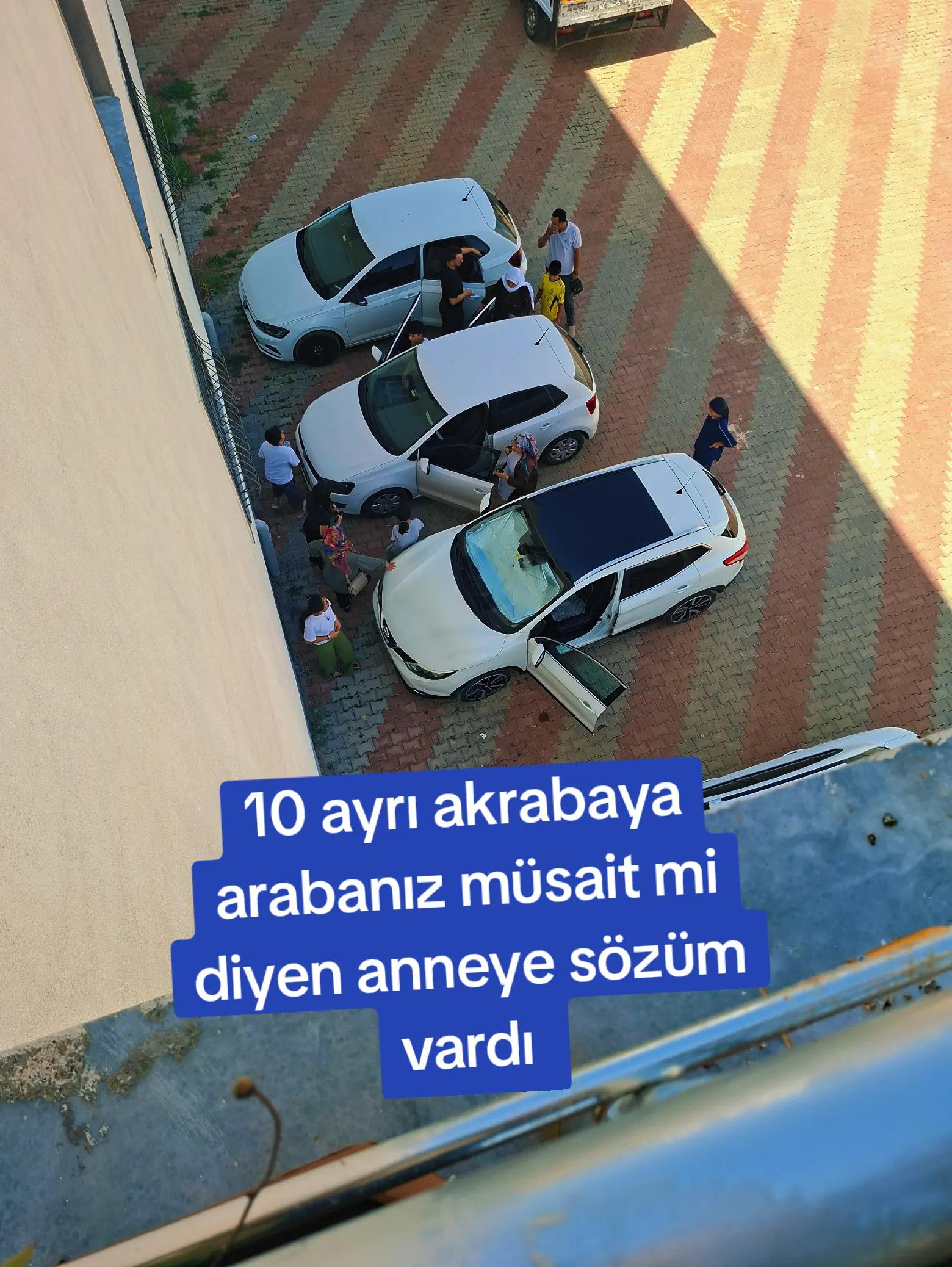 @MEHMET MERSAVOĞLU ✅