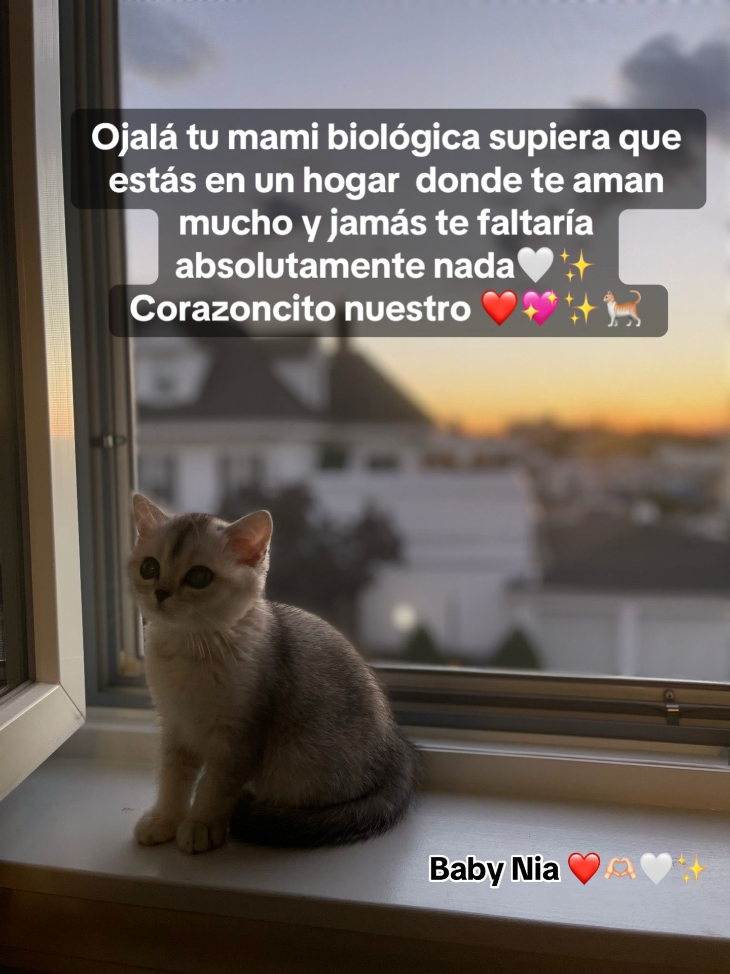 @Tefhy