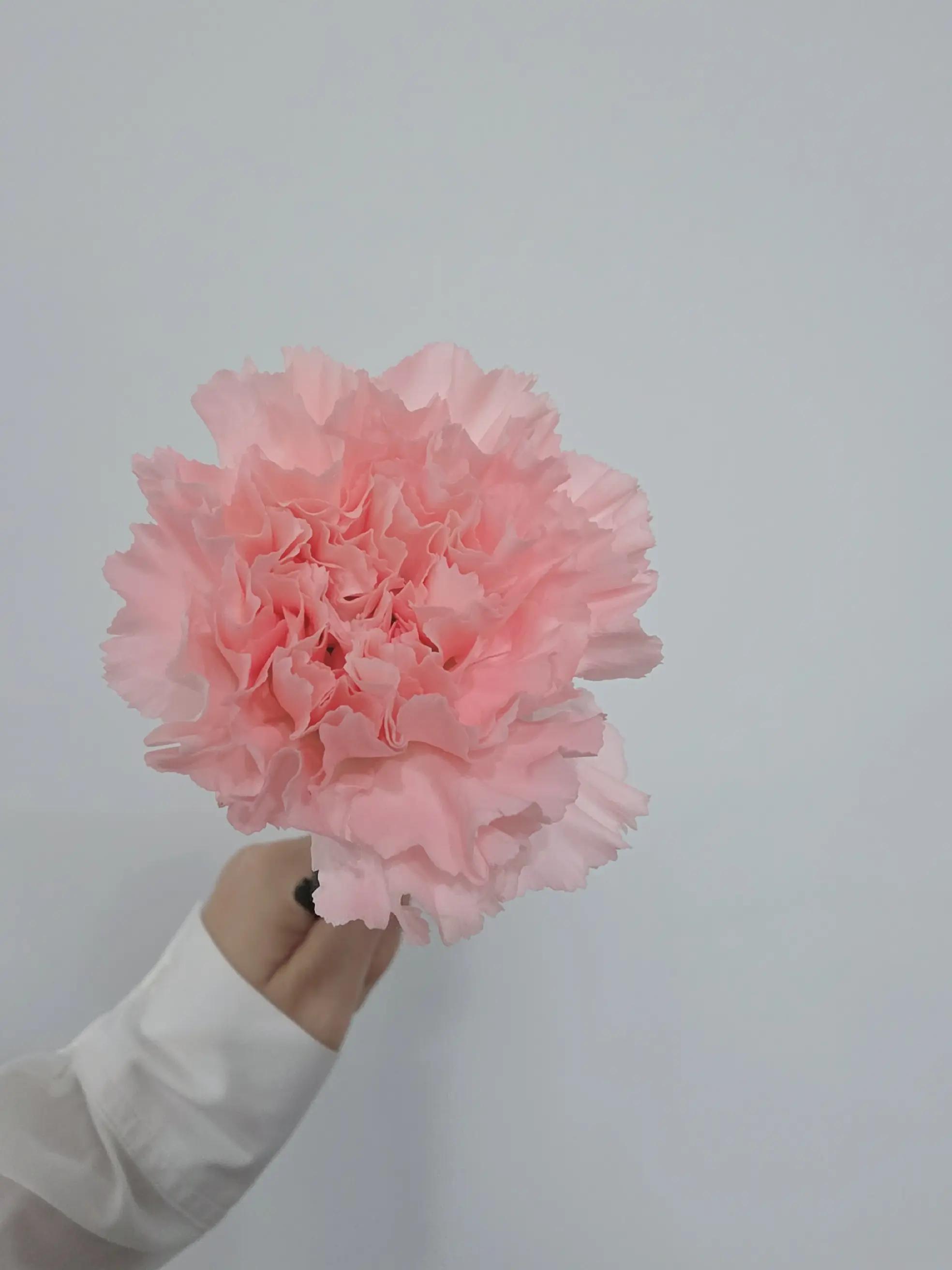 @바라24