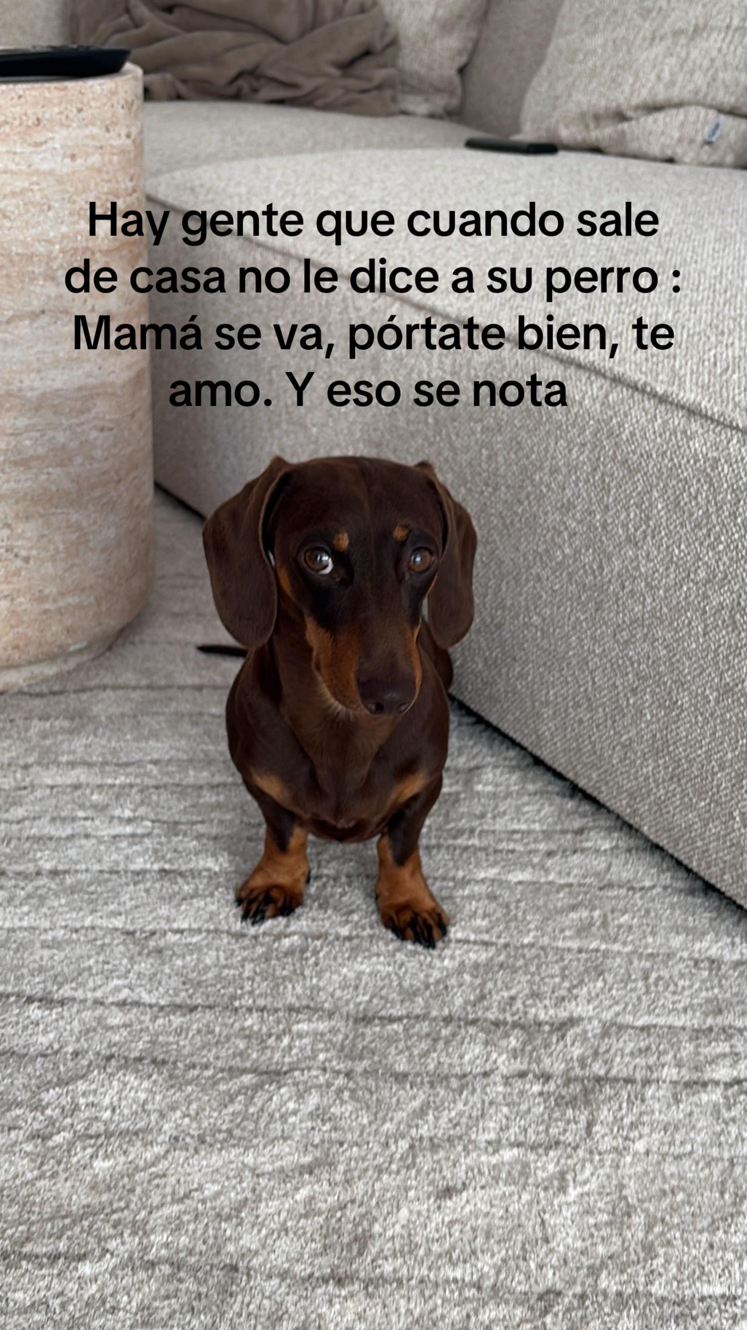 @Nerea Zamora
