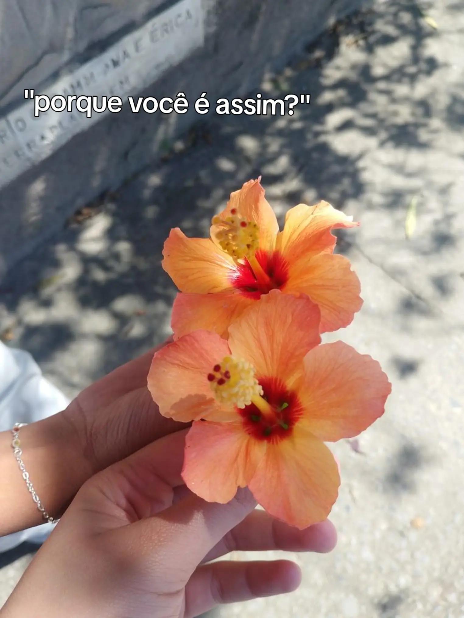 @๐คโฎJลฑnฬโโฑ