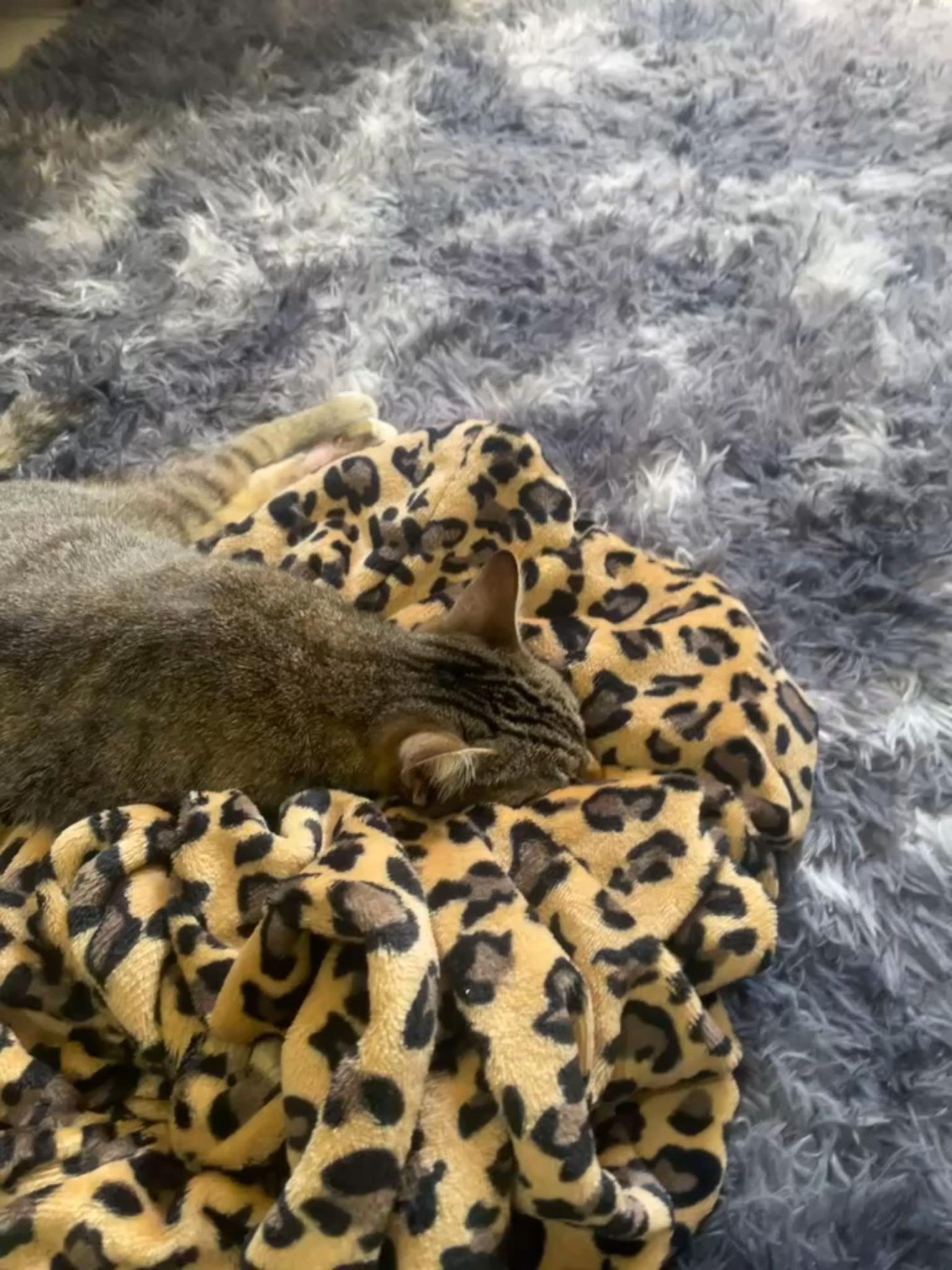 @✭𝒌𝒊𝒛𝒛✭🐈⬛