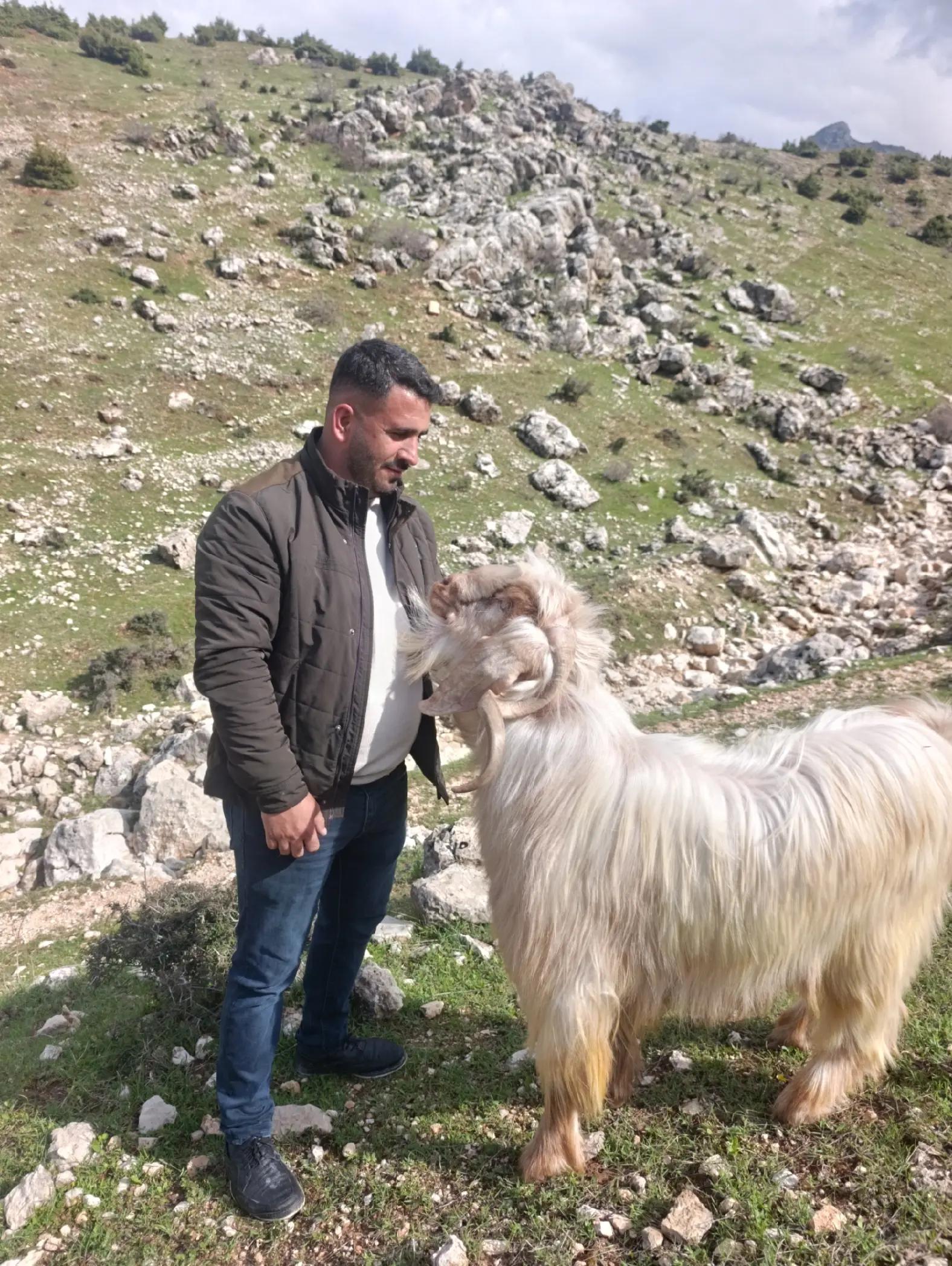 @Vahdettin Nas