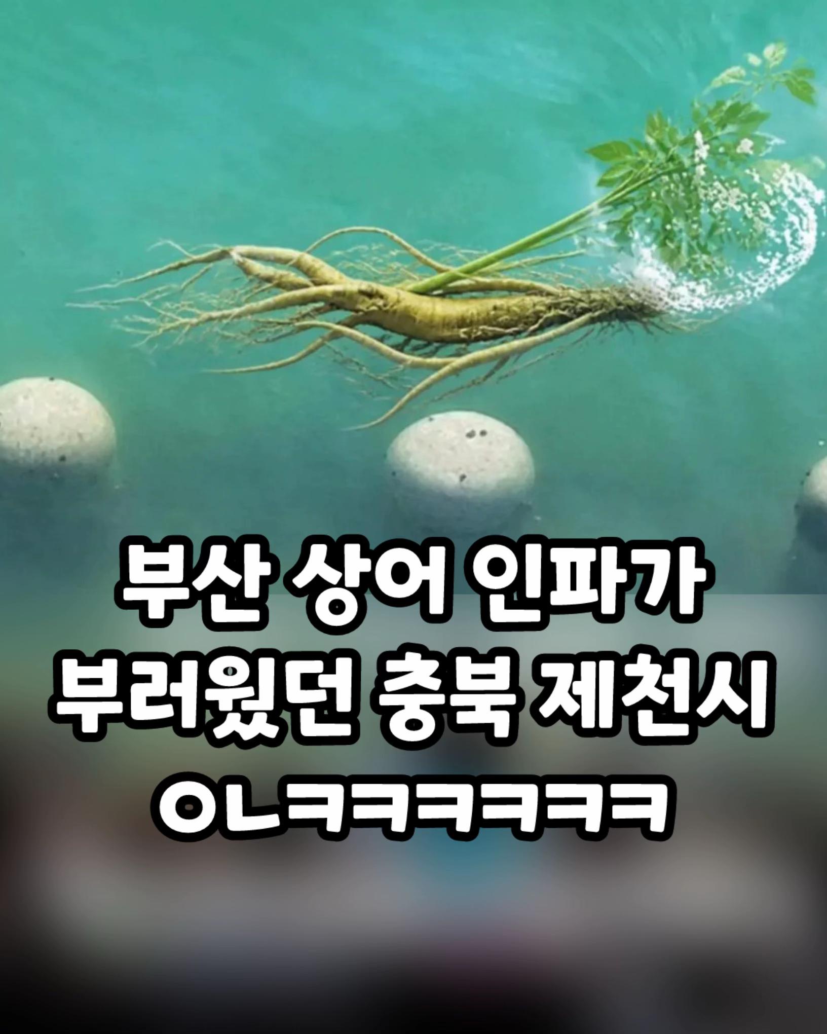 @꿀잼교실