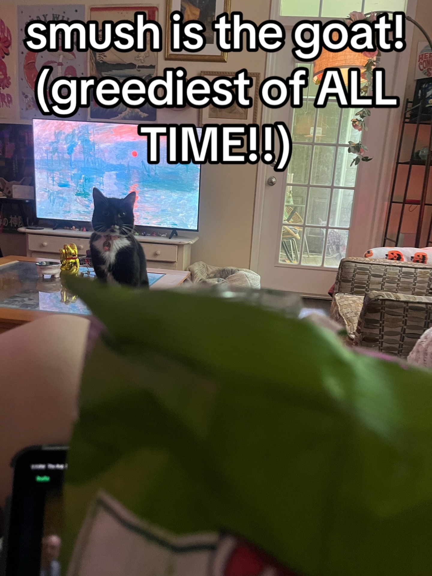 @🦄🍩bug🥥💟