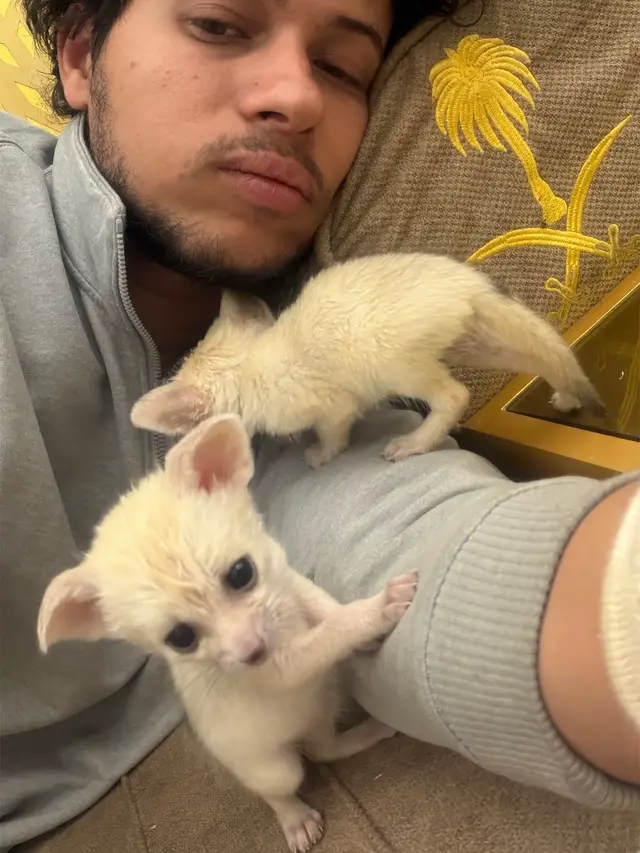 @سامي العقباوي Samy ALAkabawi
