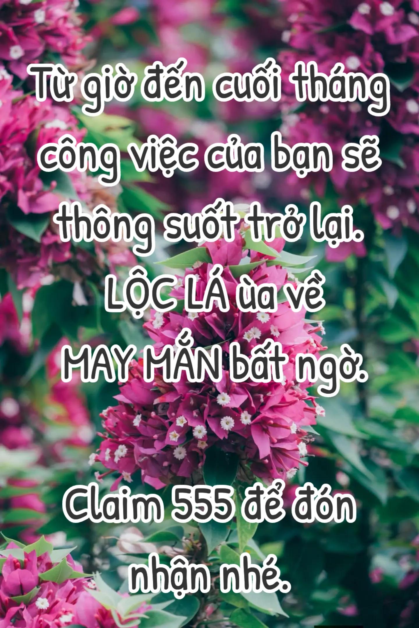 @HẢI TRUNG KIM.