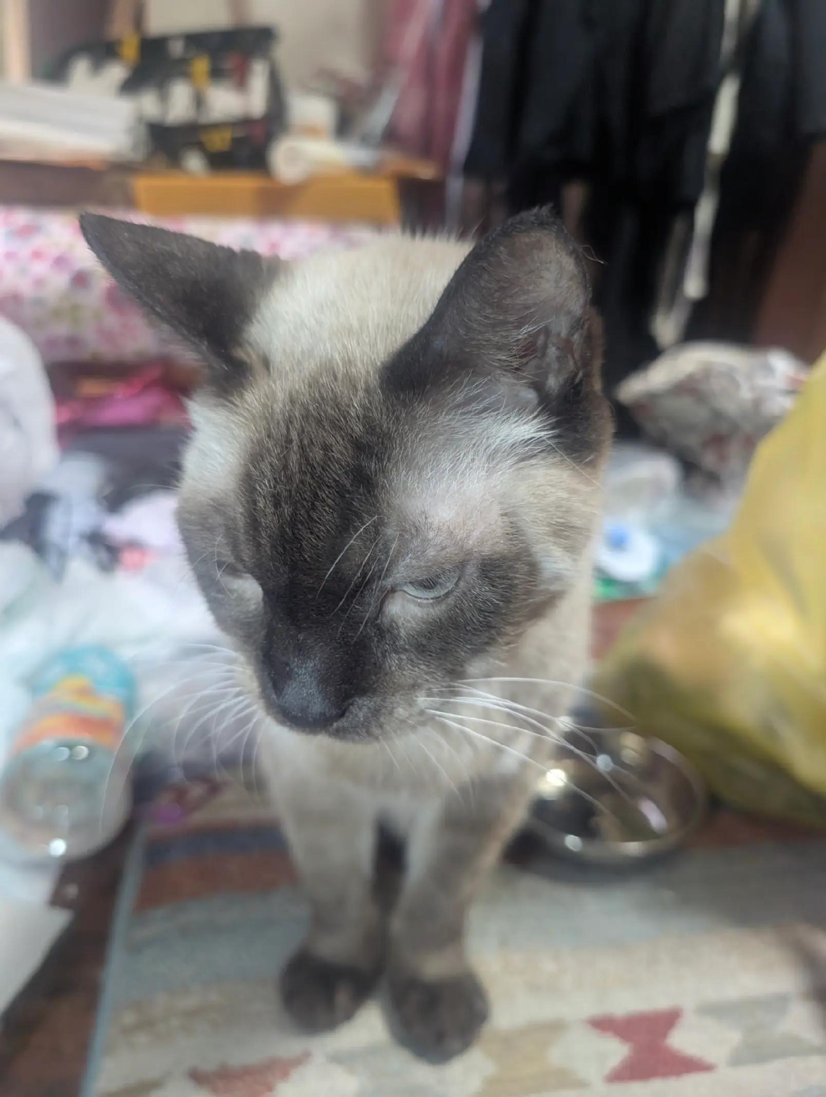 @睡眠プロデュース