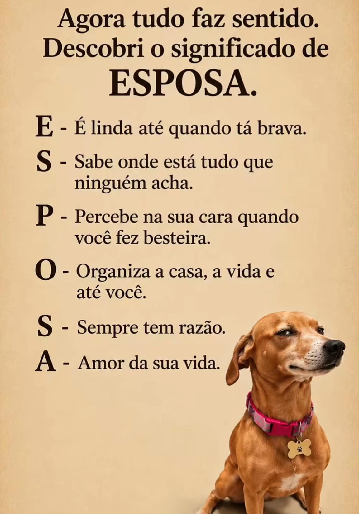 @Paula Vitti