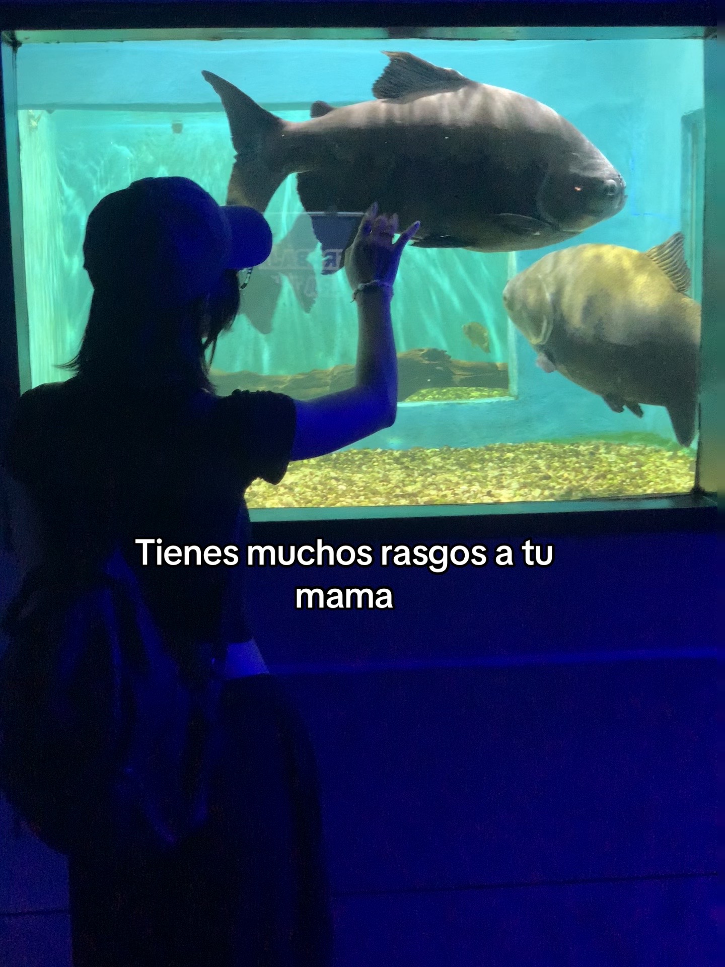 @Zulli🐭