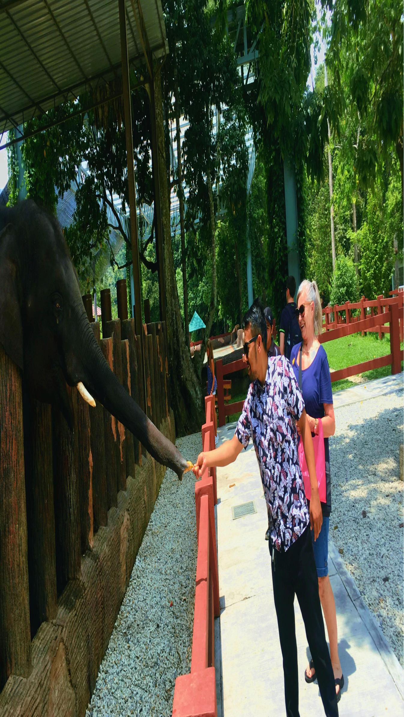 @KL Travel Tours