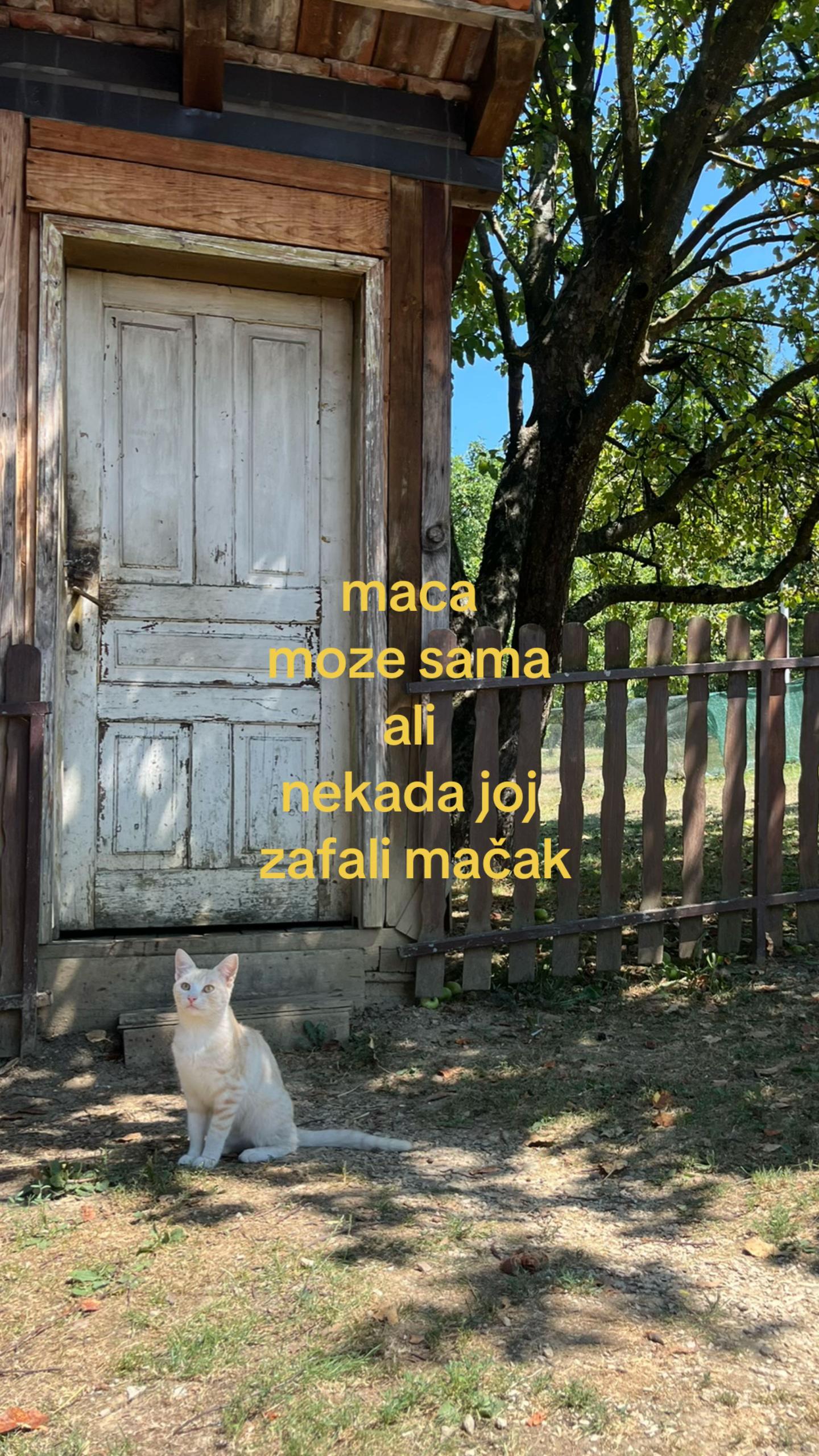 @стефан