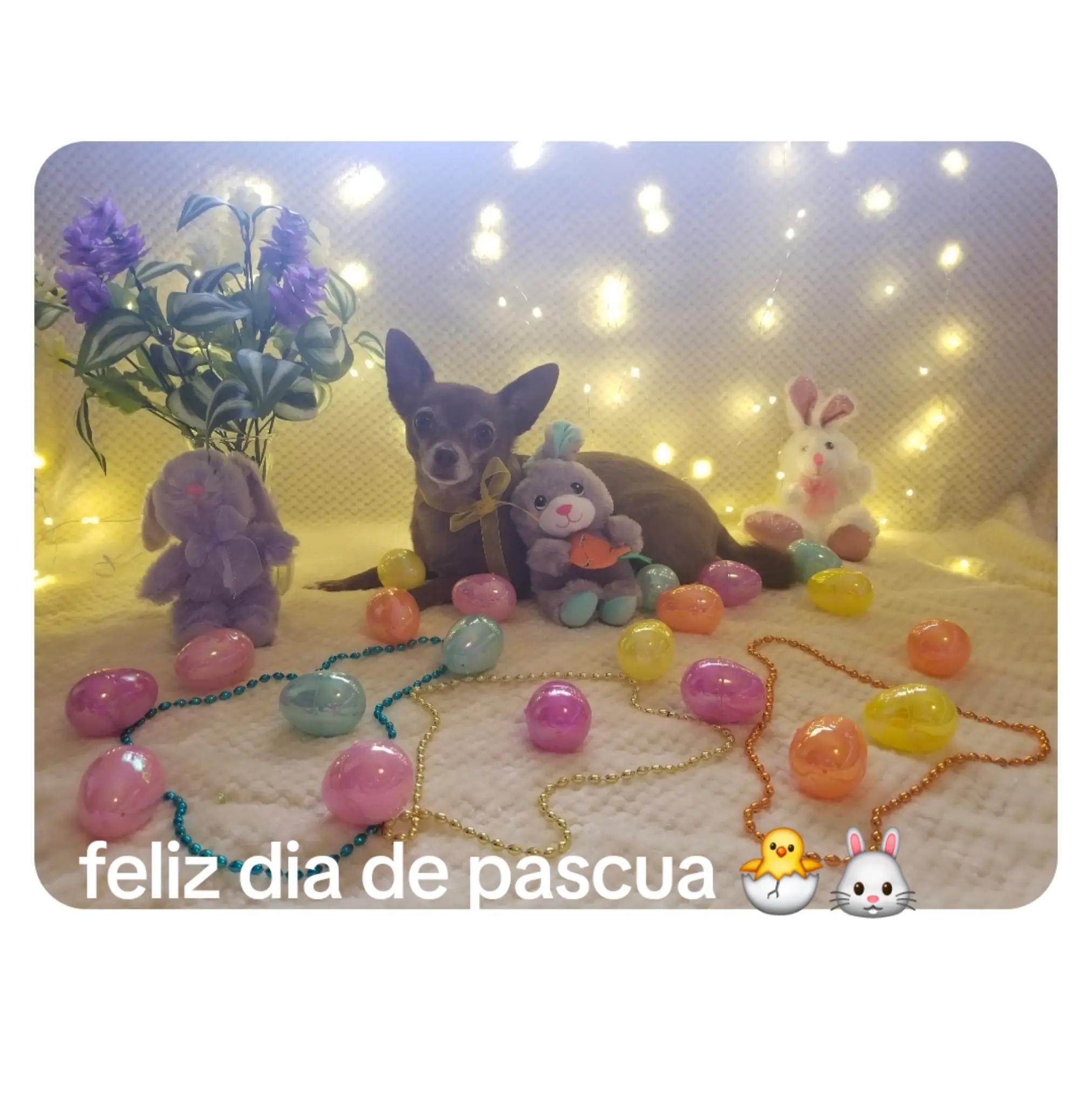 @peanut l palomares