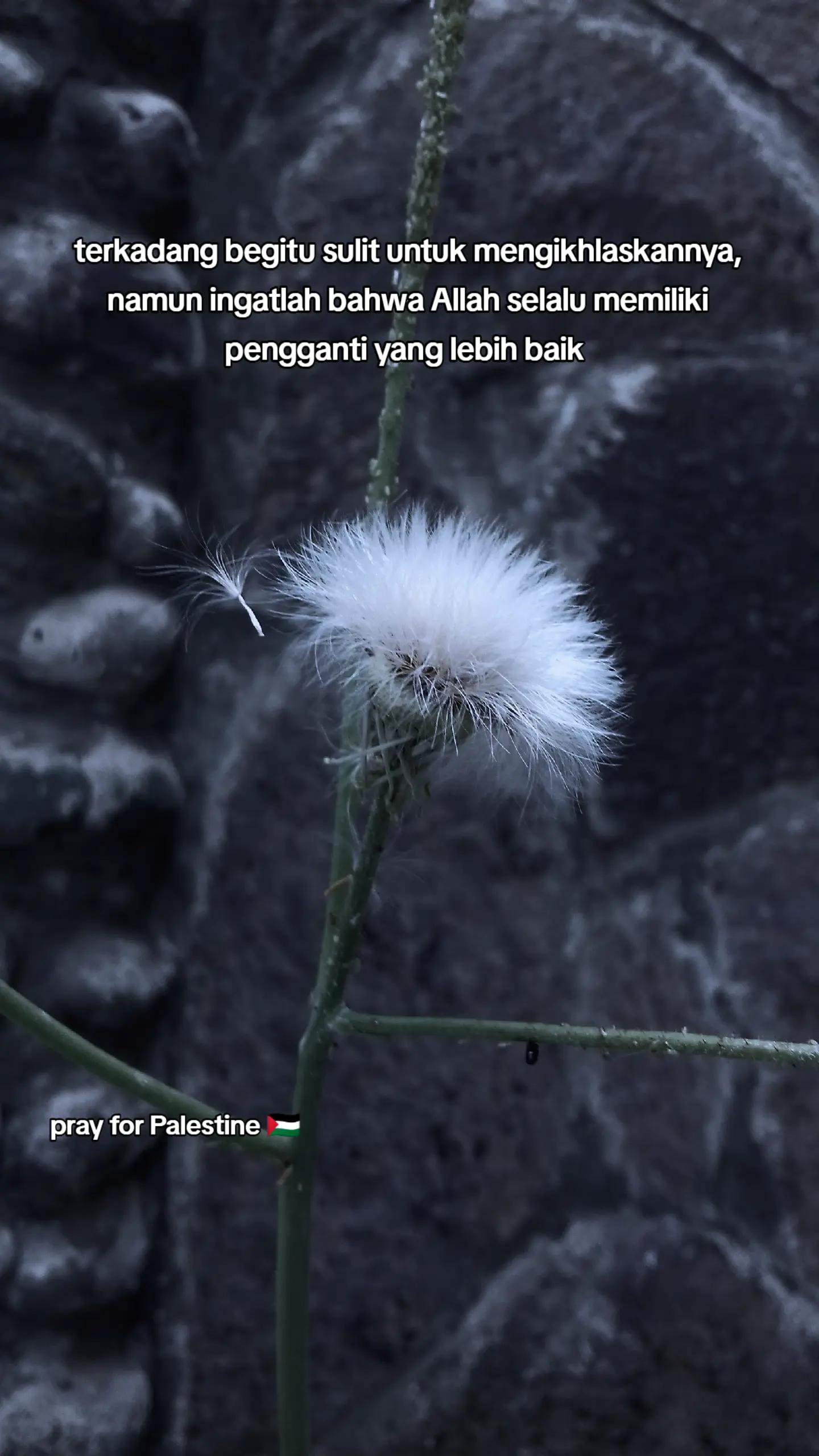 @No Lyrics 🎵