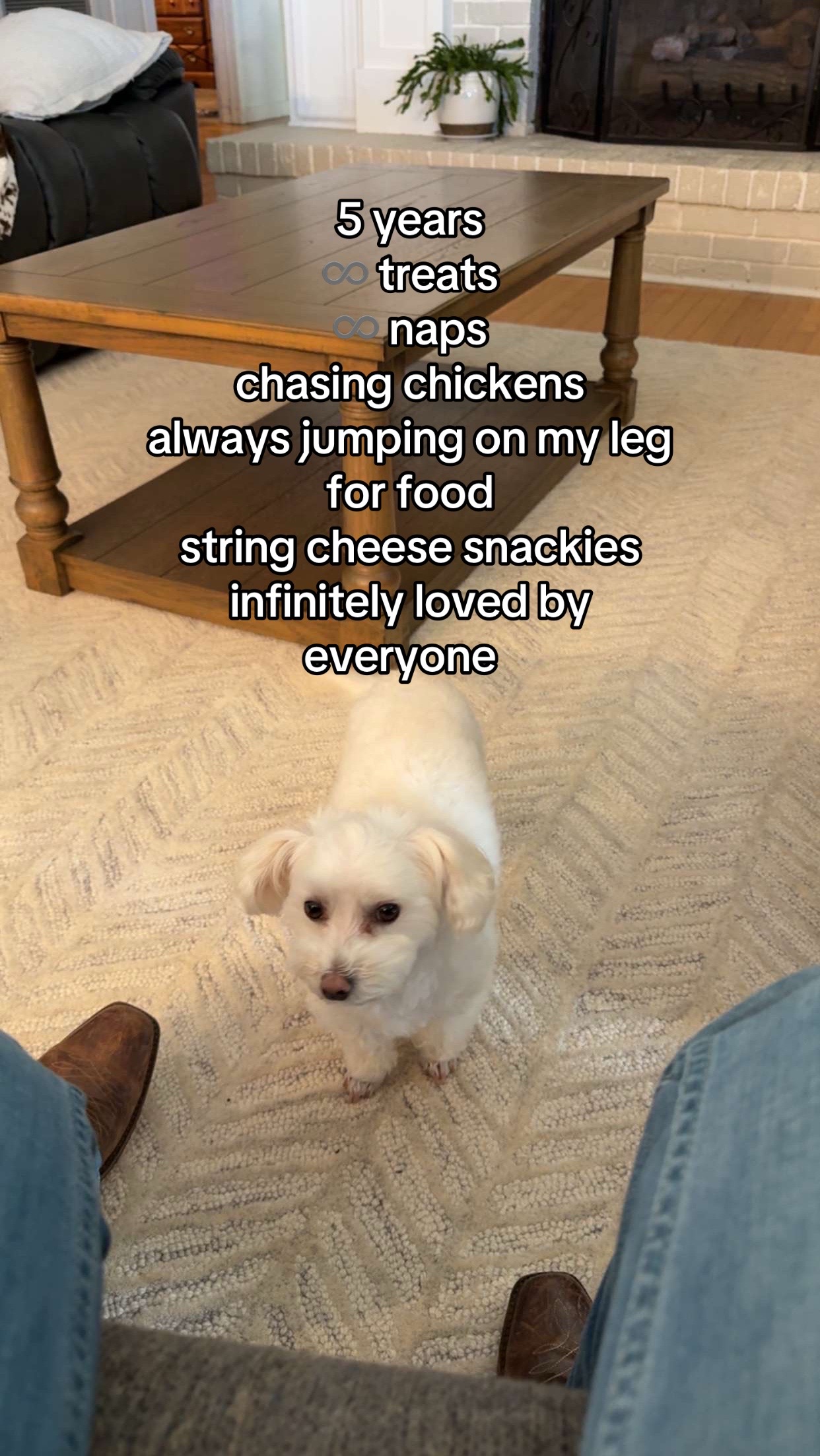 @✨💫𝑅𝒶𝓎𝓎𝓎💫✨