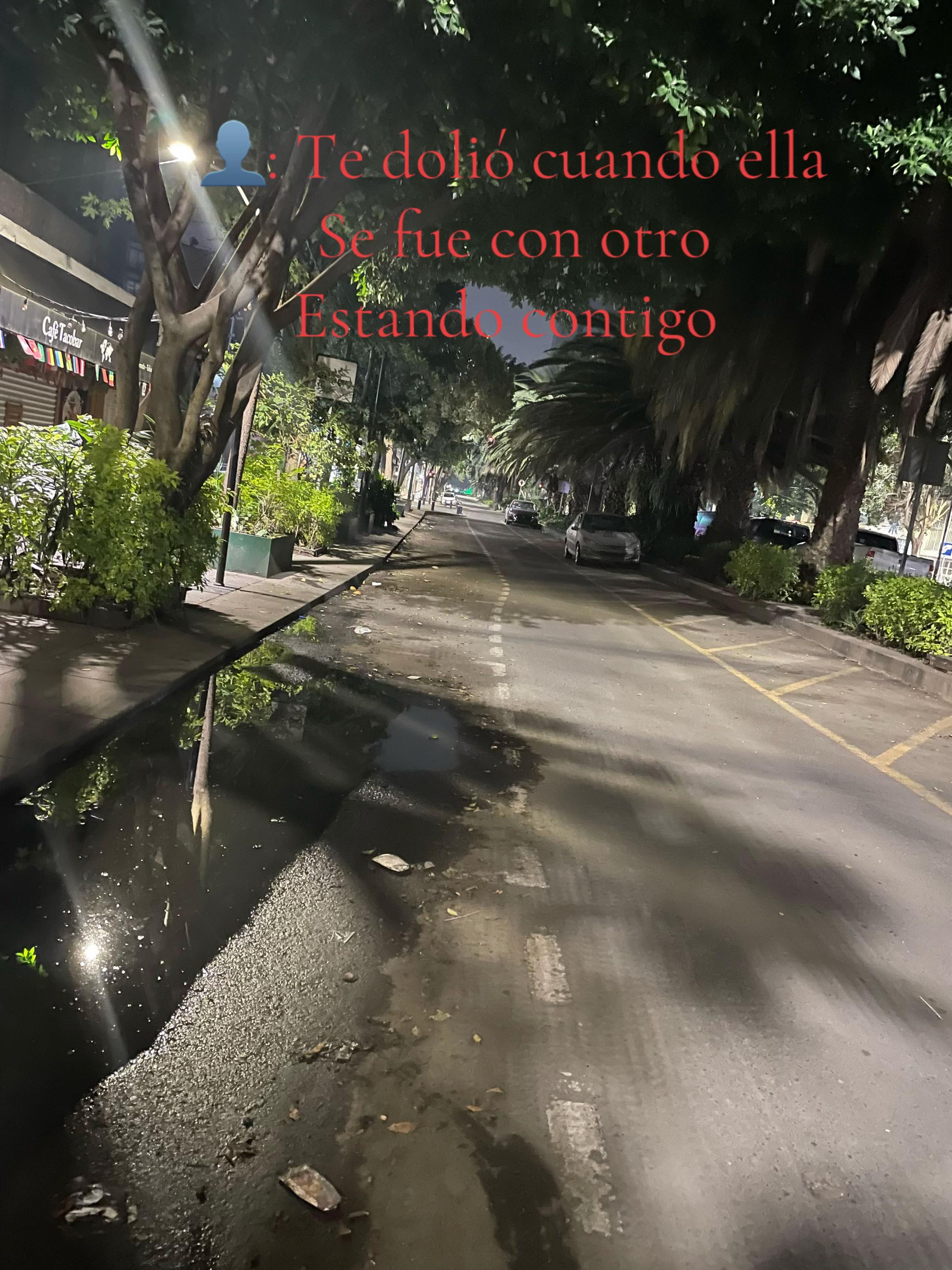 @Sarko 🦇