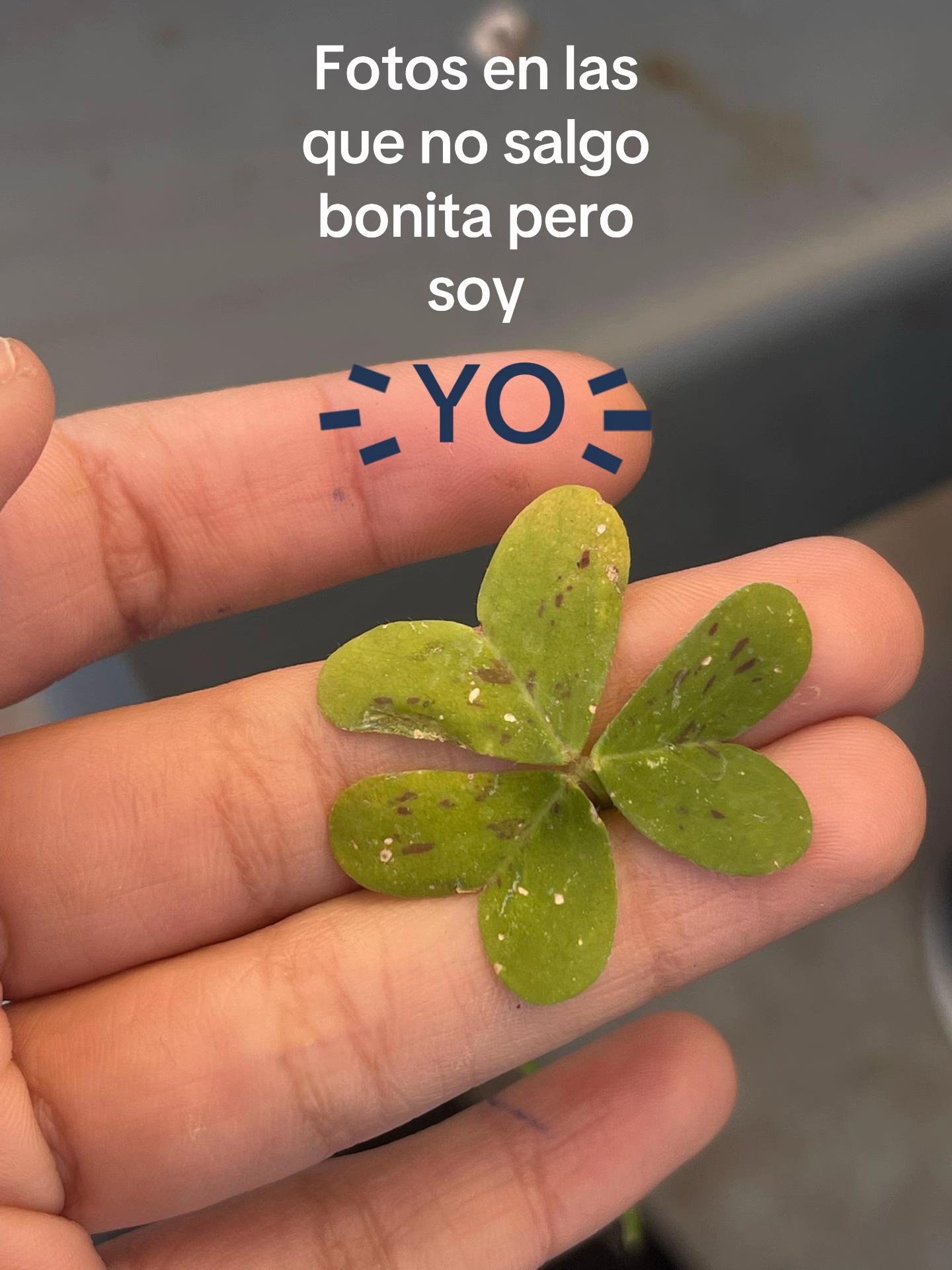 @Naho ⭐